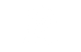 Black and white icon of a medal with a check mark in the center.
