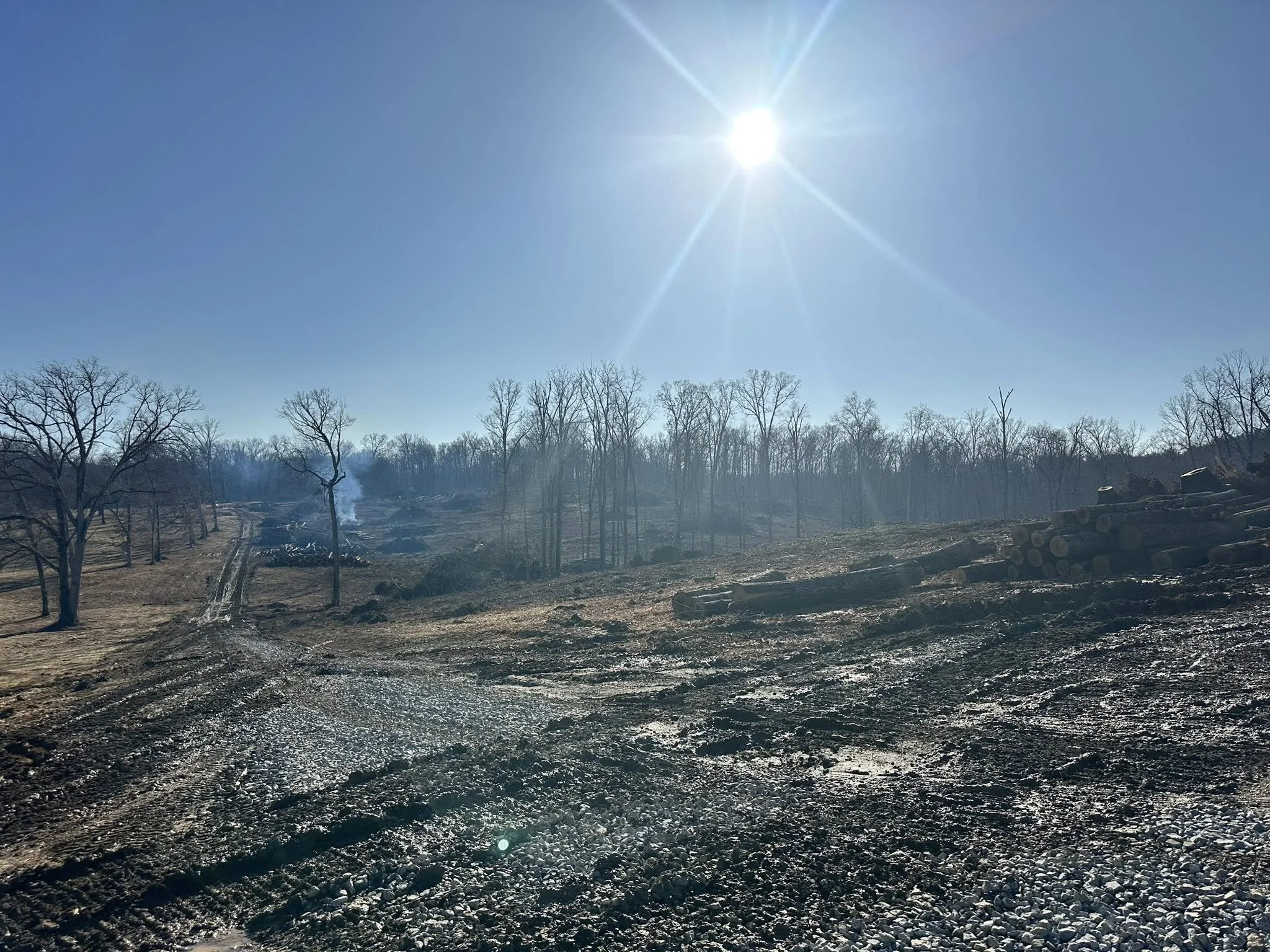 A sunny day with a clear blue sky, leafless trees, and a muddy, uneven ground.