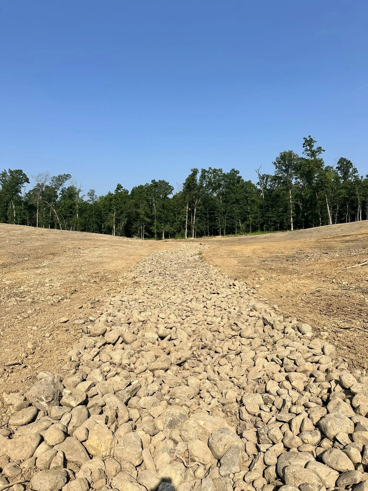 A dirt field with rocks in the foreground, a line of trees along the horizon, and a clear blue sky.