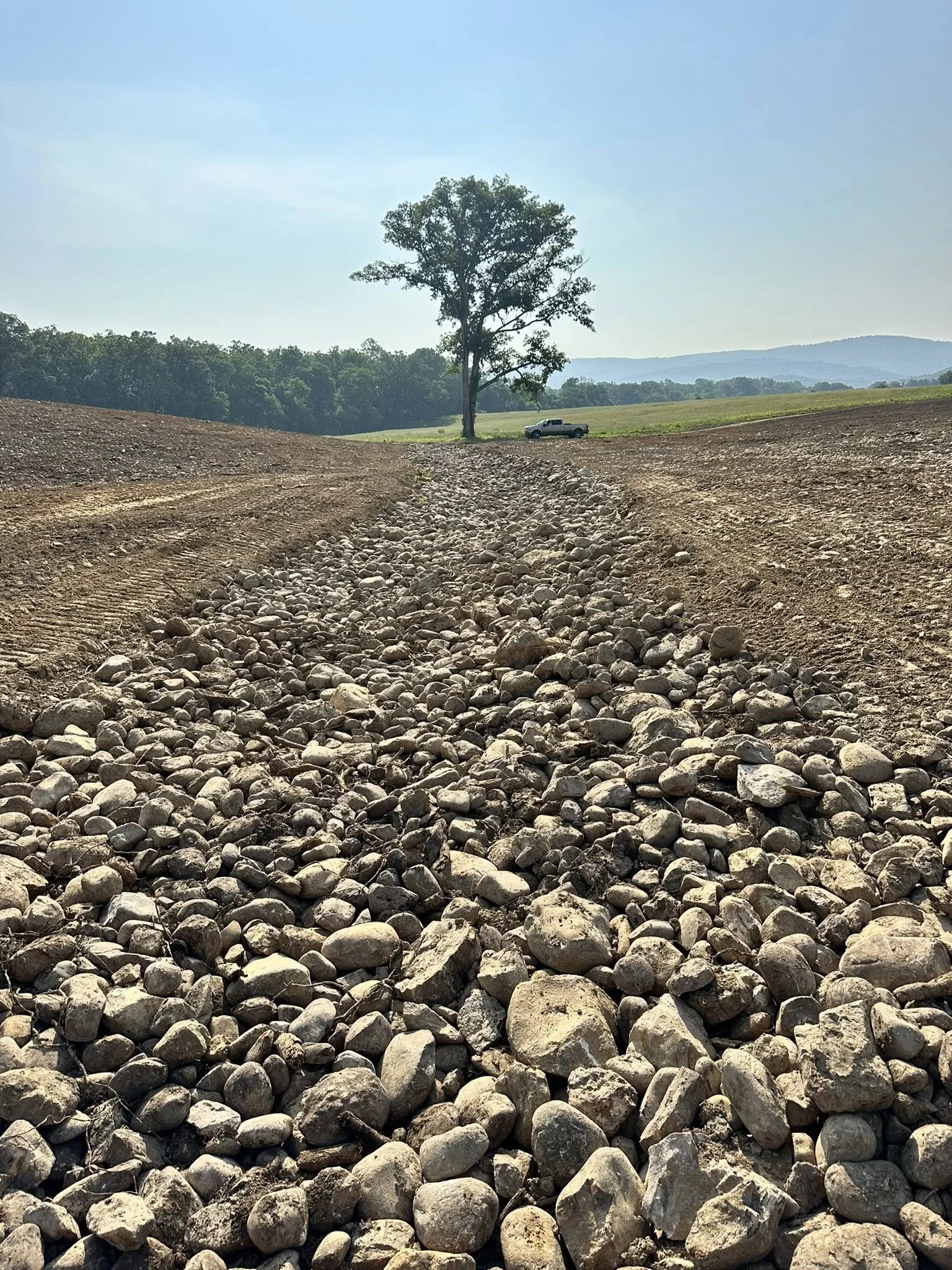 A dirt and gravel path runs through a field, leading to a solitary tree and a car in the distance against a backdrop of hills and a clear sky.