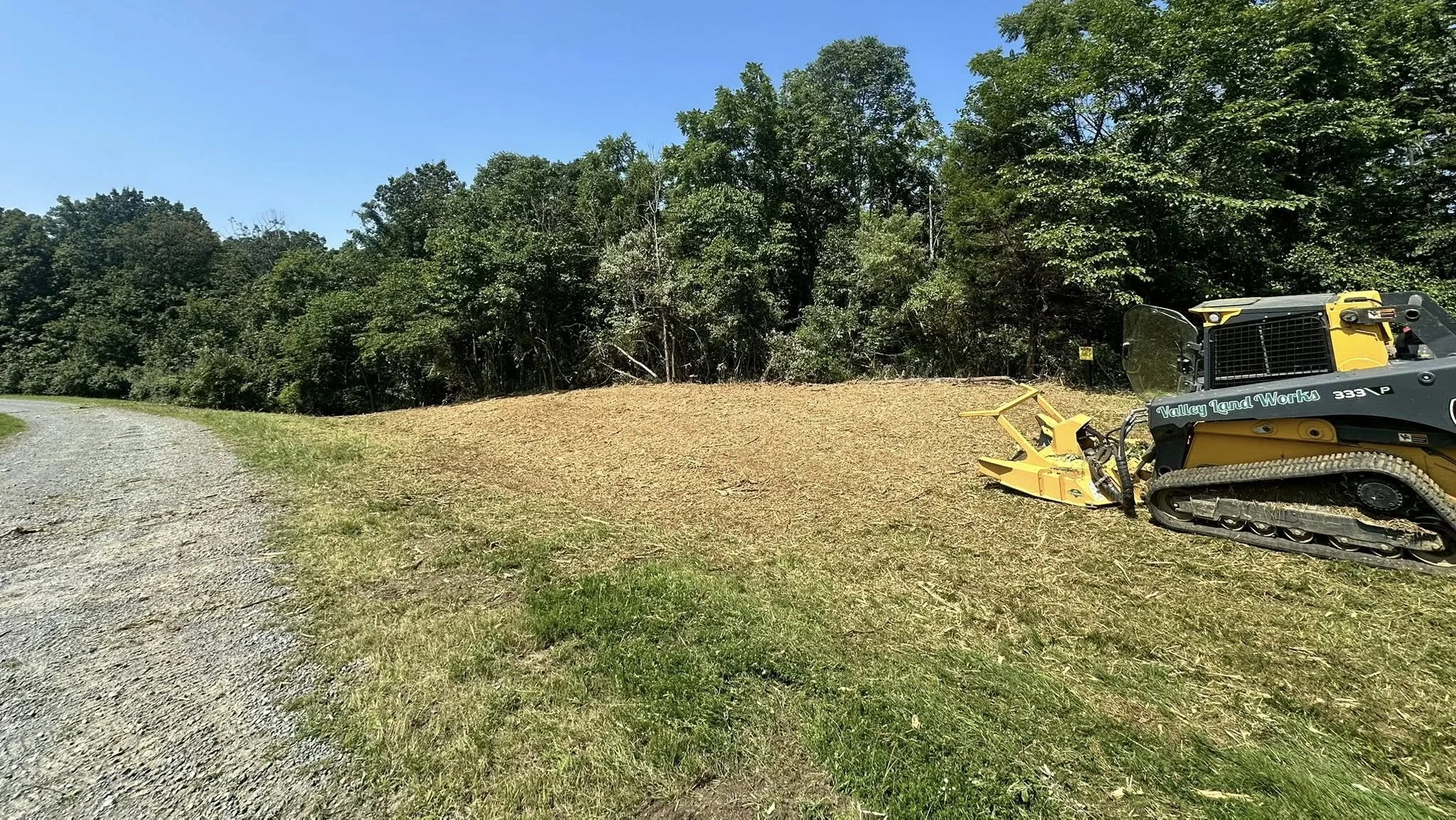 A small yellow and black tracked land clearing machine on a grassy area near a gravel path, with a background of dense green trees under a clear blue sky.