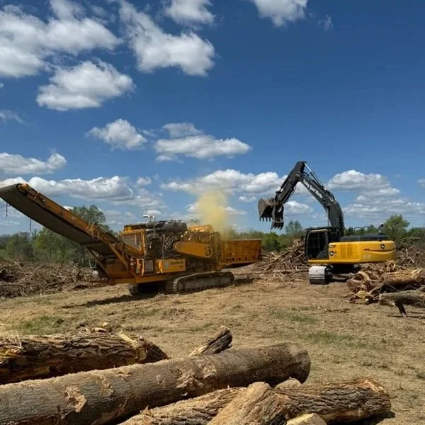 Excavators demolishing trees and clearing land outdoors on a bright, partly cloudy day.