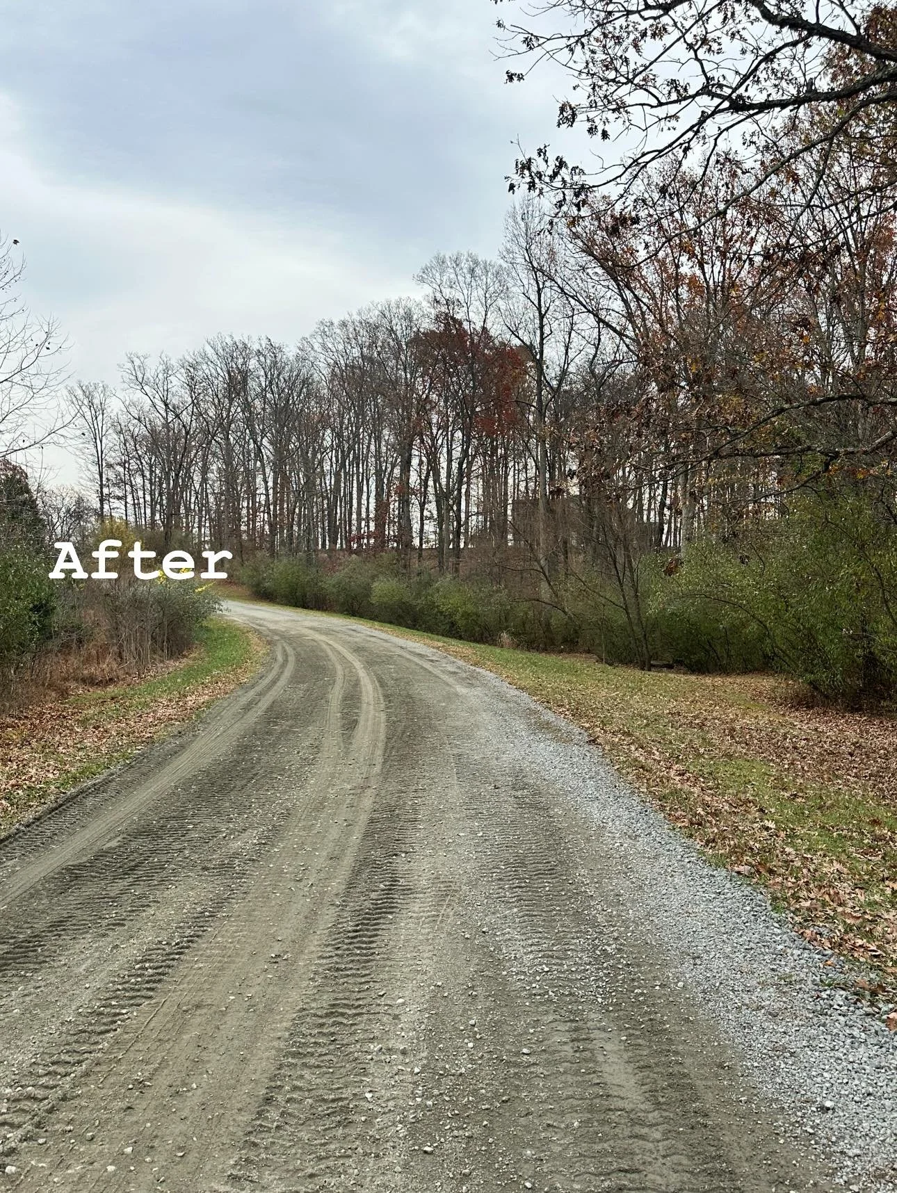 A dirt road with tire tracks curves through a wooded area with trees that are mostly leafless, indicating late fall or winter. The sky is overcast, and the word 'After' is written in white text at the bottom left of the image.