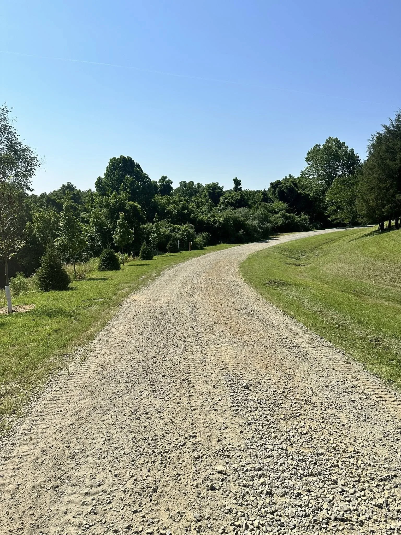 A winding gravel road flanked by grass and trees under a clear blue sky.