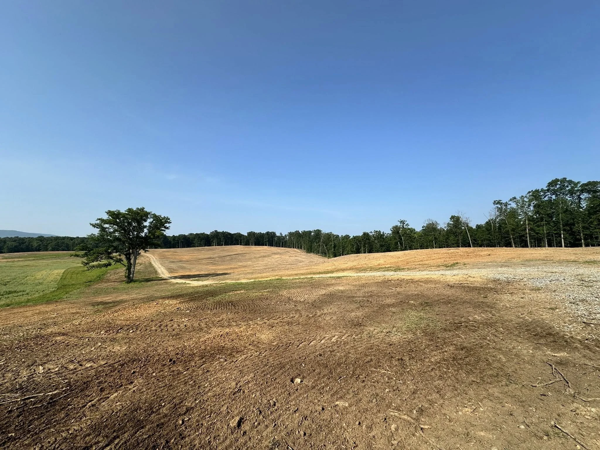 Open field with a large lone tree in the foreground, rolling hills with more trees, and a clear blue sky.