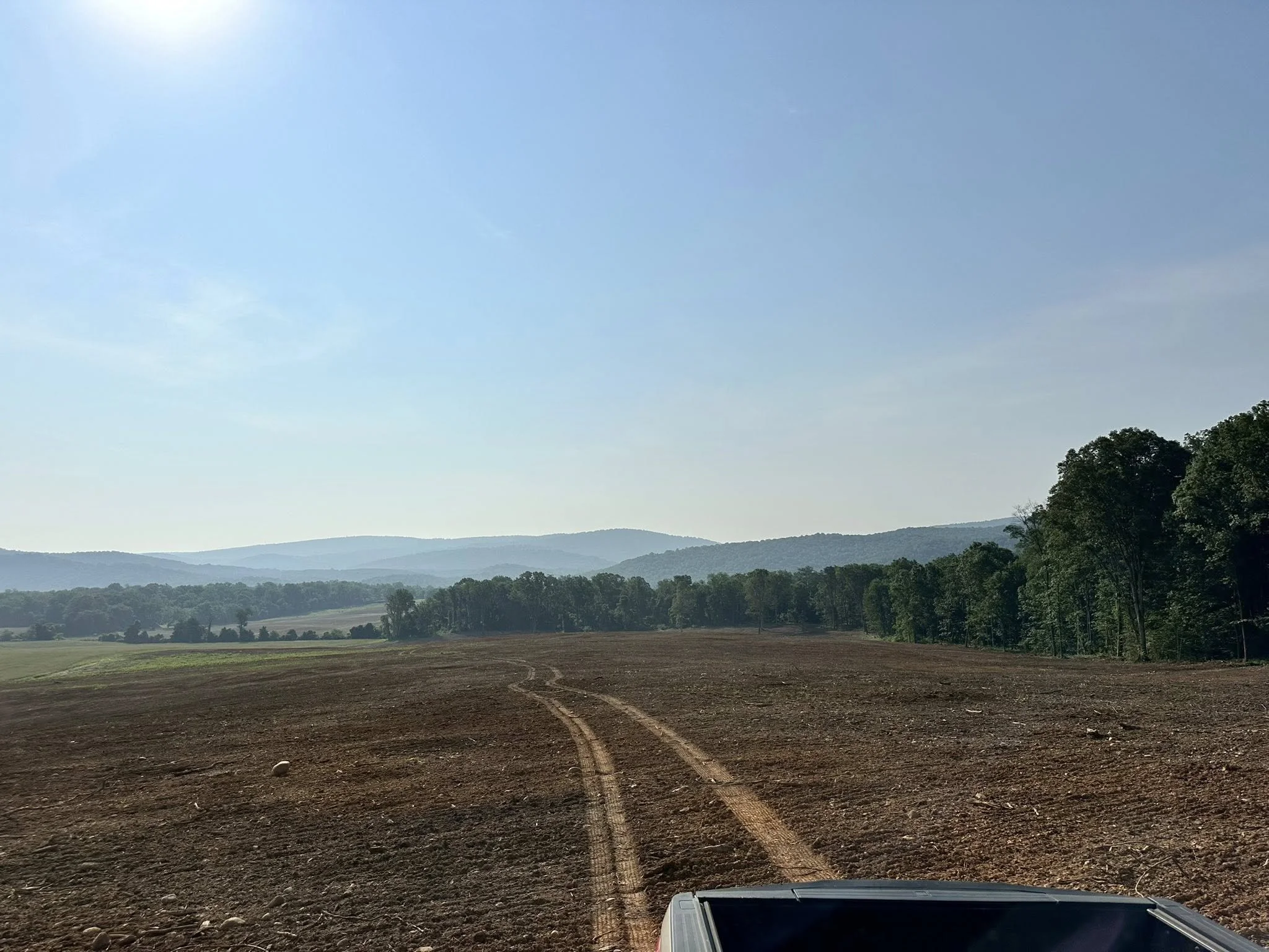 View from a car on a dirt road through a rural landscape with fields, trees, and distant mountains under a clear blue sky.