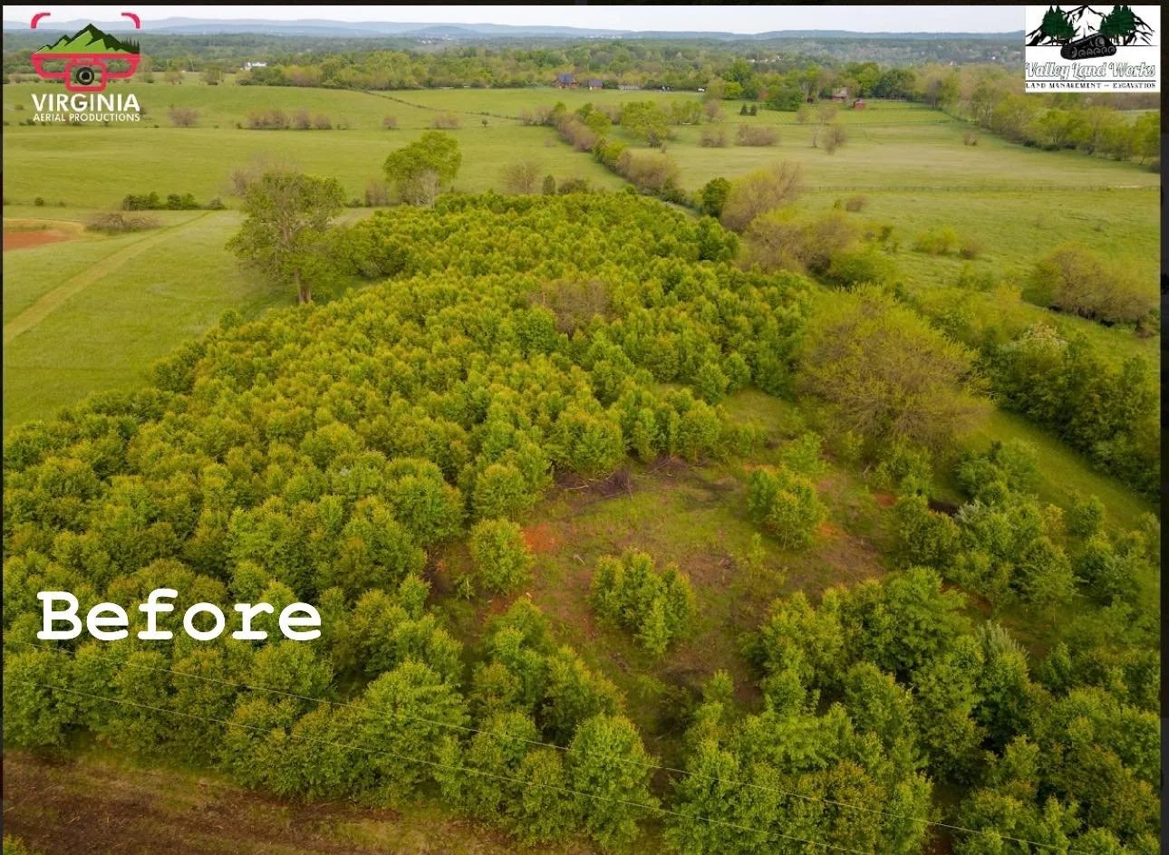Aerial view of a green landscape with numerous trees, open fields, and some distant buildings under a cloudy sky, with an overlay text 'Before' and logos in the corners.