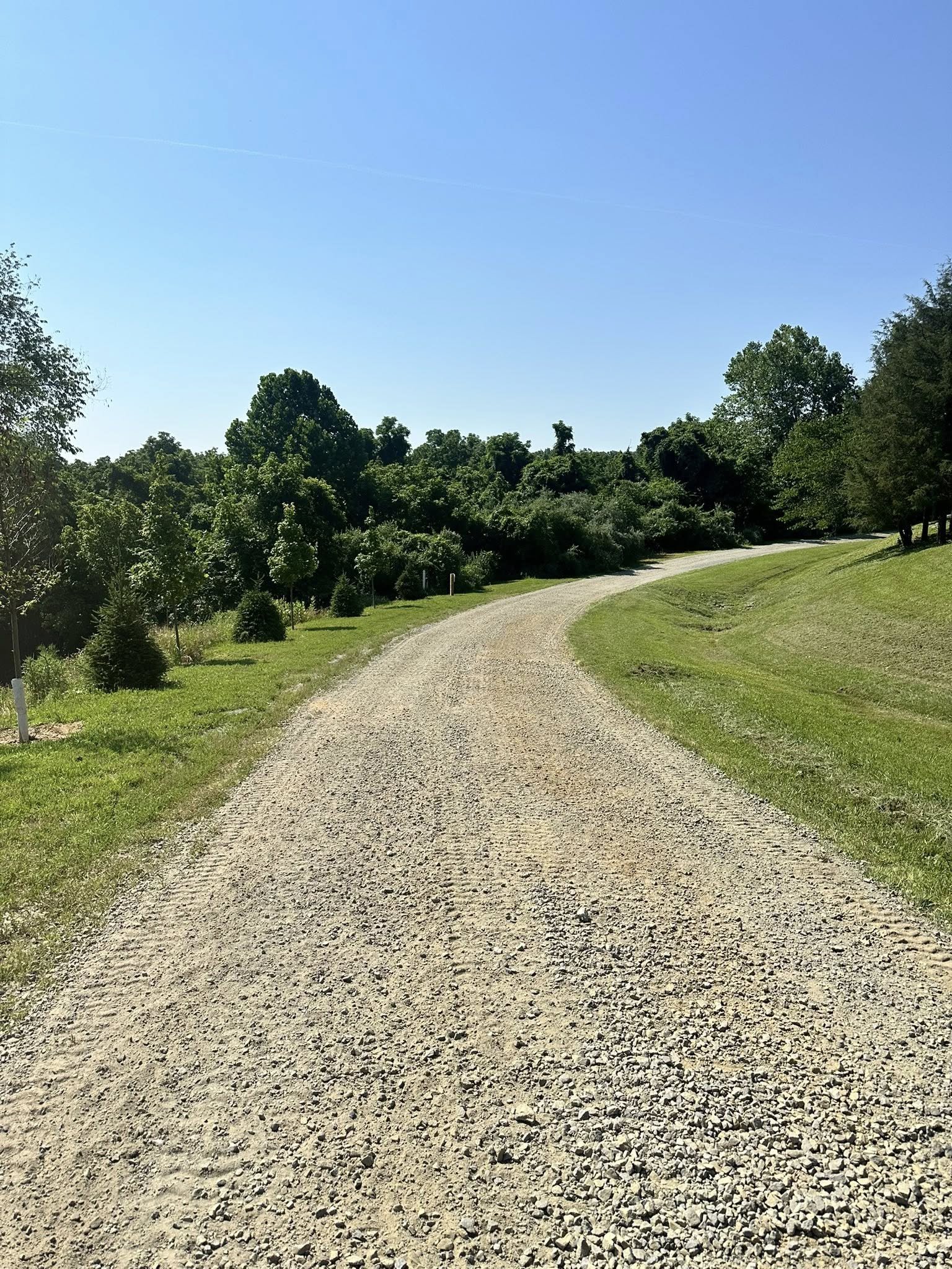 A gravel country road winding through lush green trees and grass under a clear blue sky.