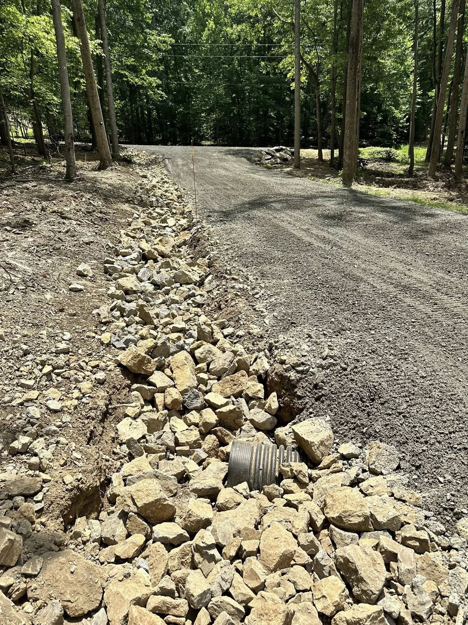 Unpaved dirt road with gravel and rocks on the side, surrounded by trees and foliage.