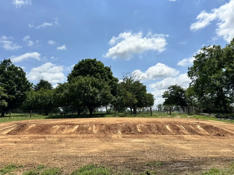 An outdoor dirt baseball field with a raised mound, surrounded by a fence, and tall green trees in the background under a blue sky with some clouds.