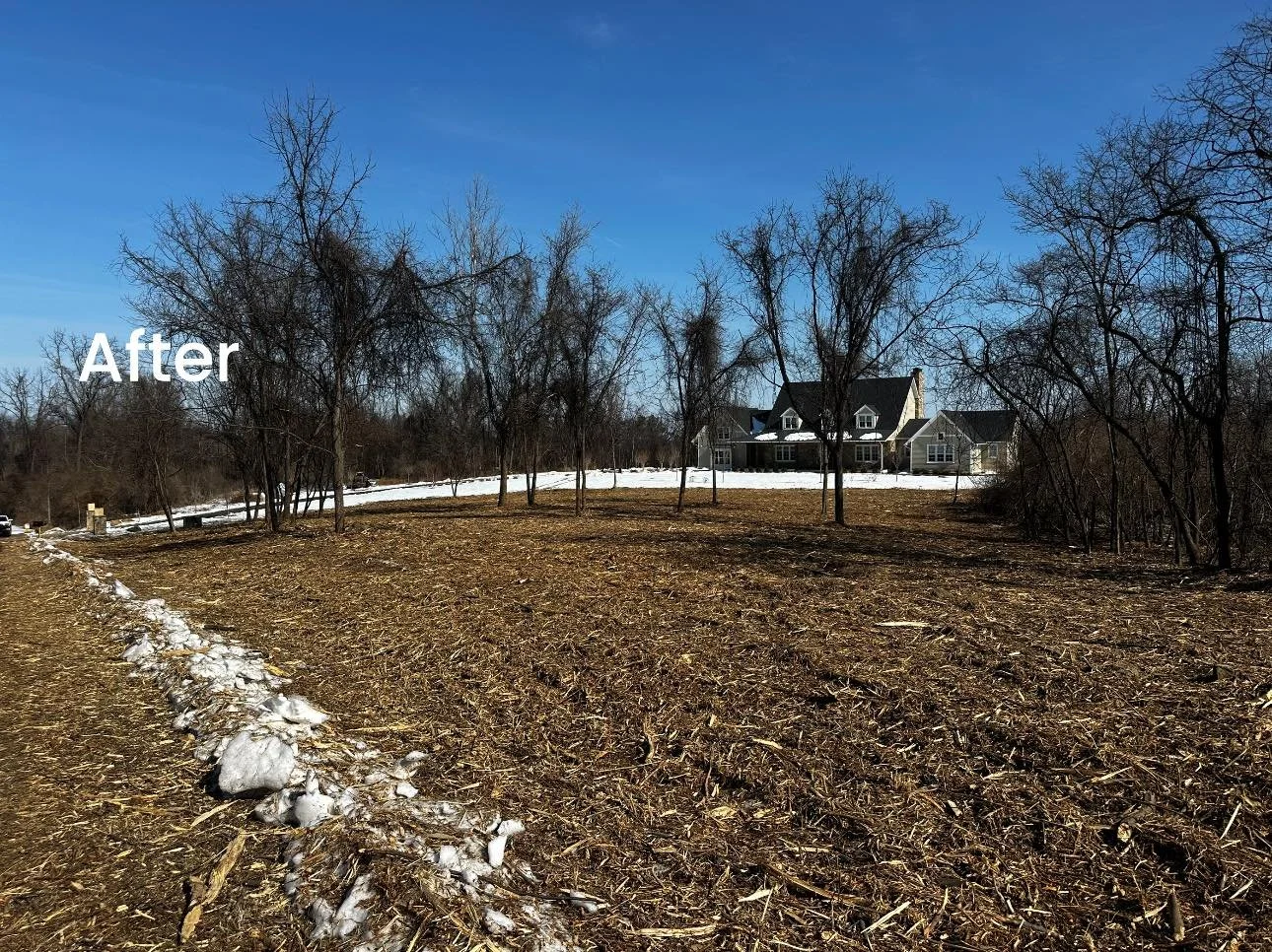 A large house in the distance with a clear blue sky overhead. The foreground shows a patch of barren land with some patches of snow along the edge of a dirt path. The trees surrounding the house are leafless, indicating winter or early spring.