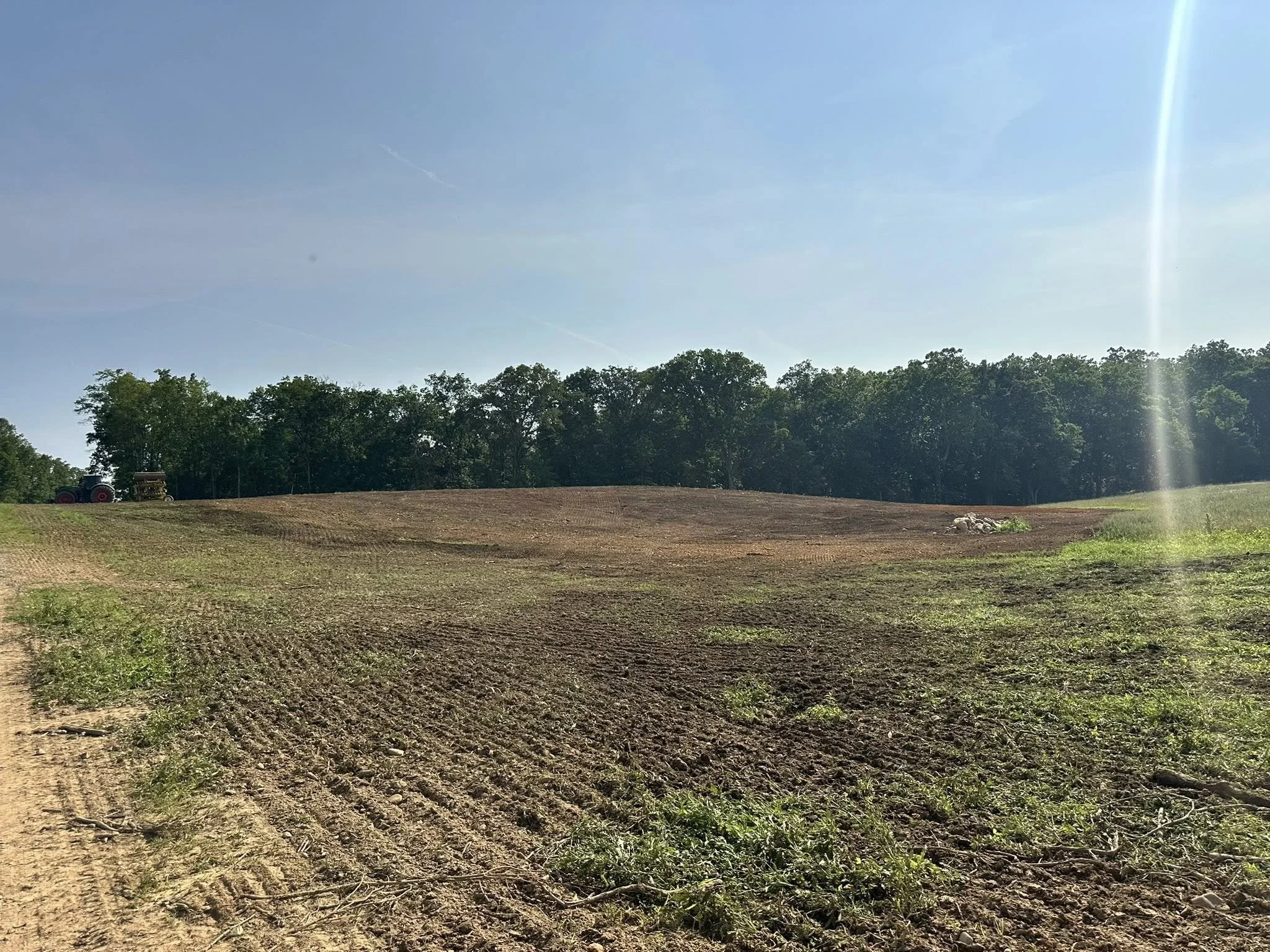 A farm field with freshly tilled soil and young green plants, bordered by trees under a clear blue sky with some contrails.