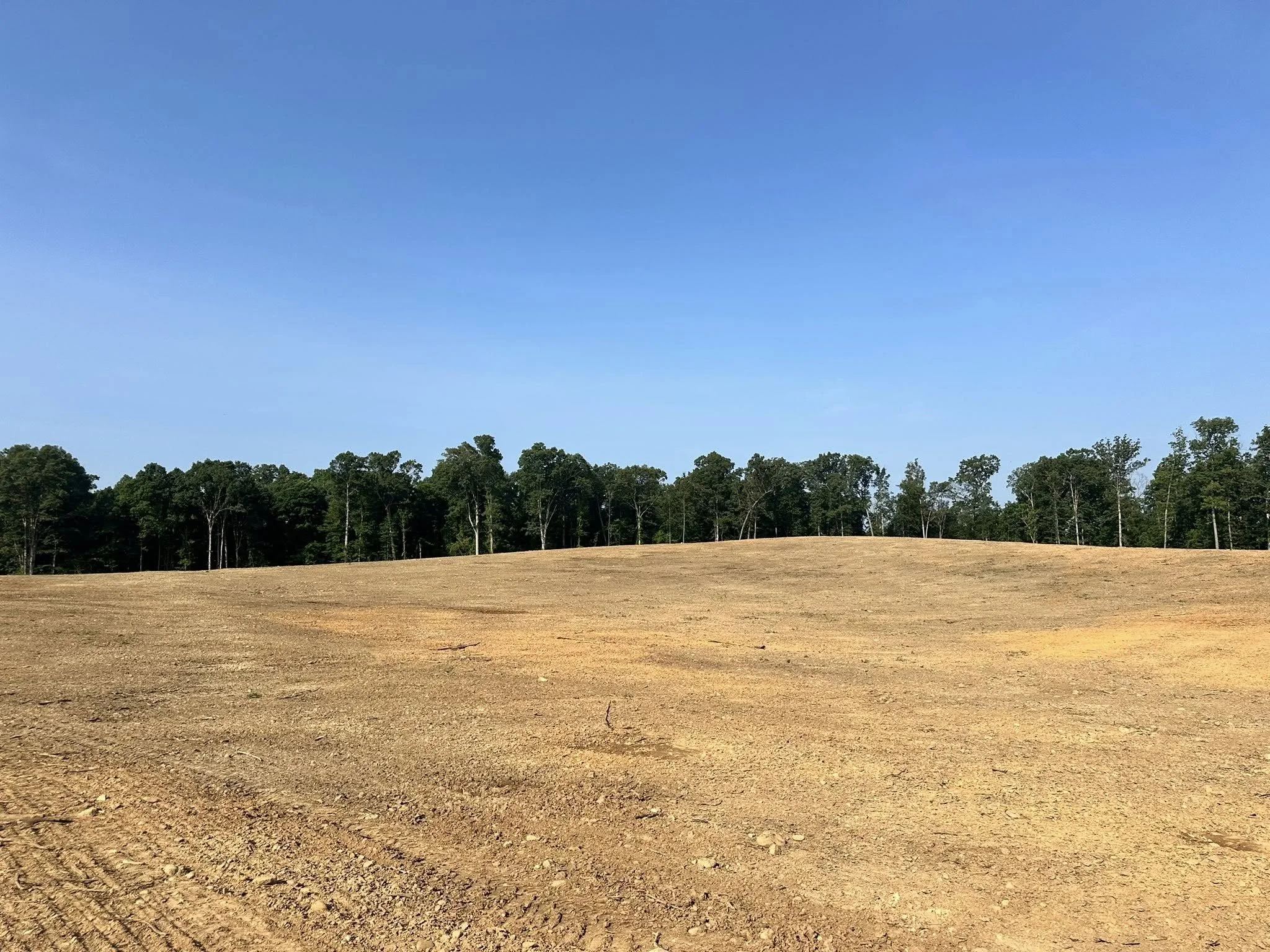 Open field with brown soil in the foreground, a line of green trees in the middle, and a clear blue sky above.