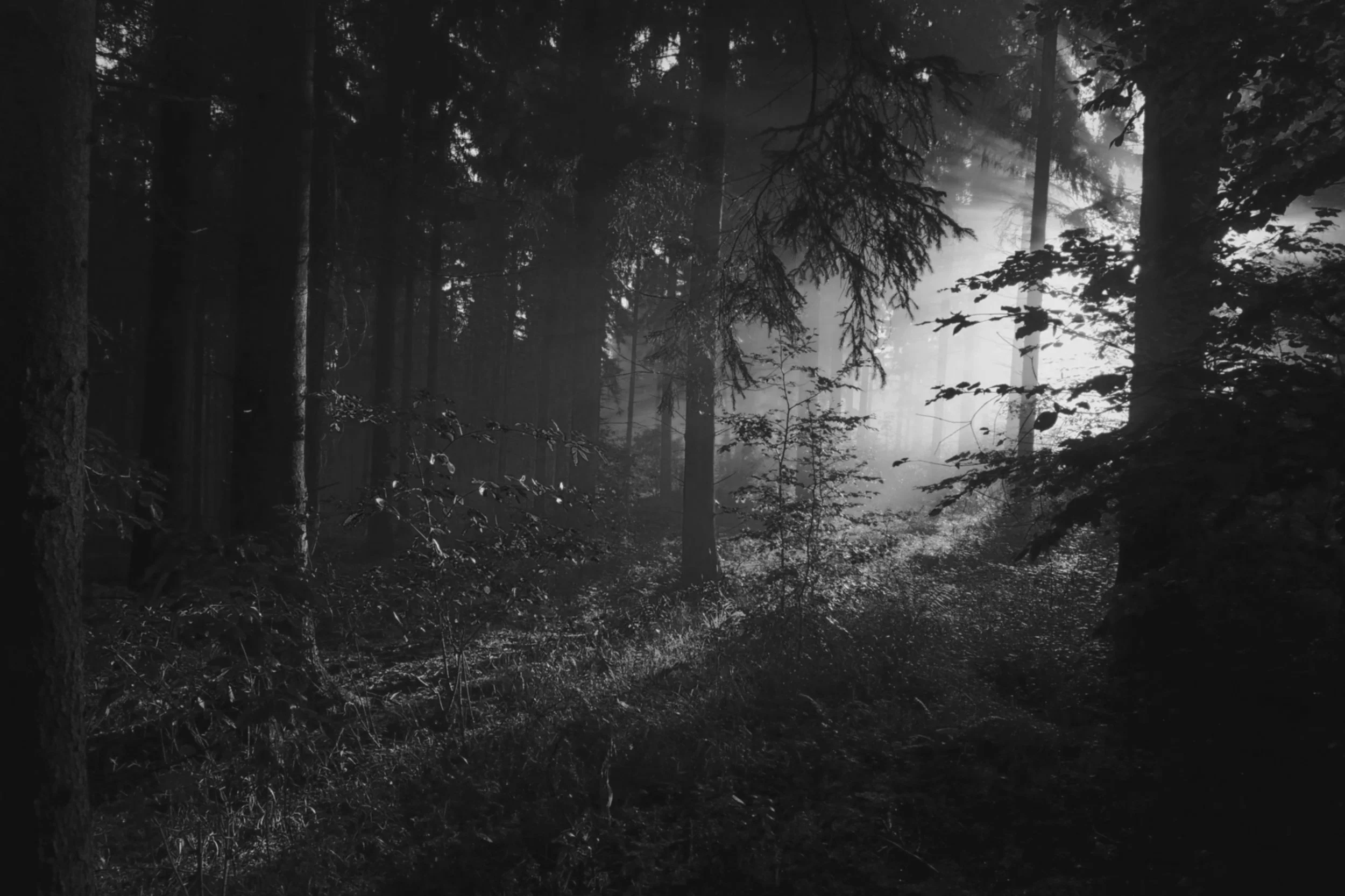 Unbound II - Rowen &amp; Mareth