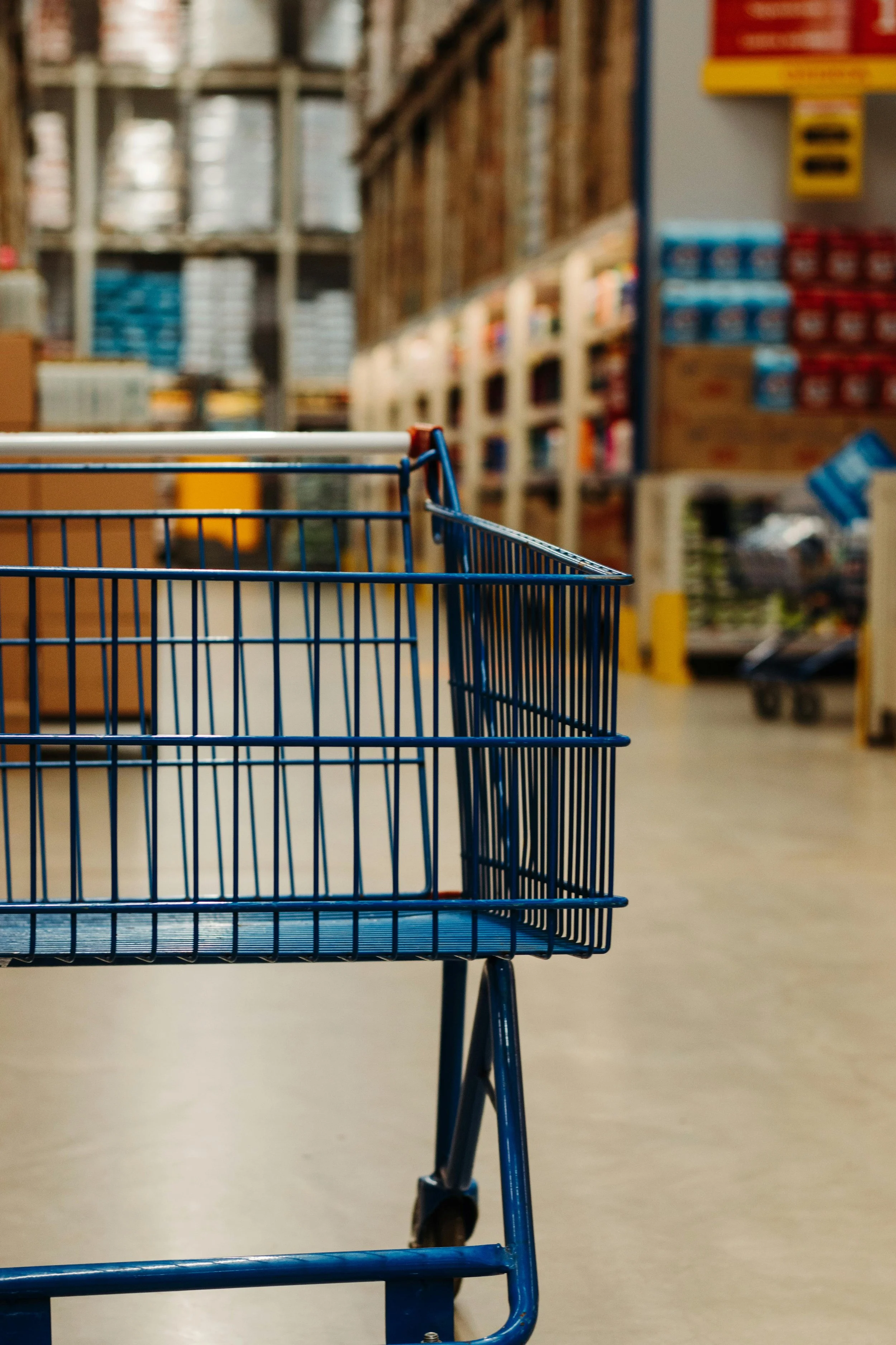 Pushcart in a grocery store