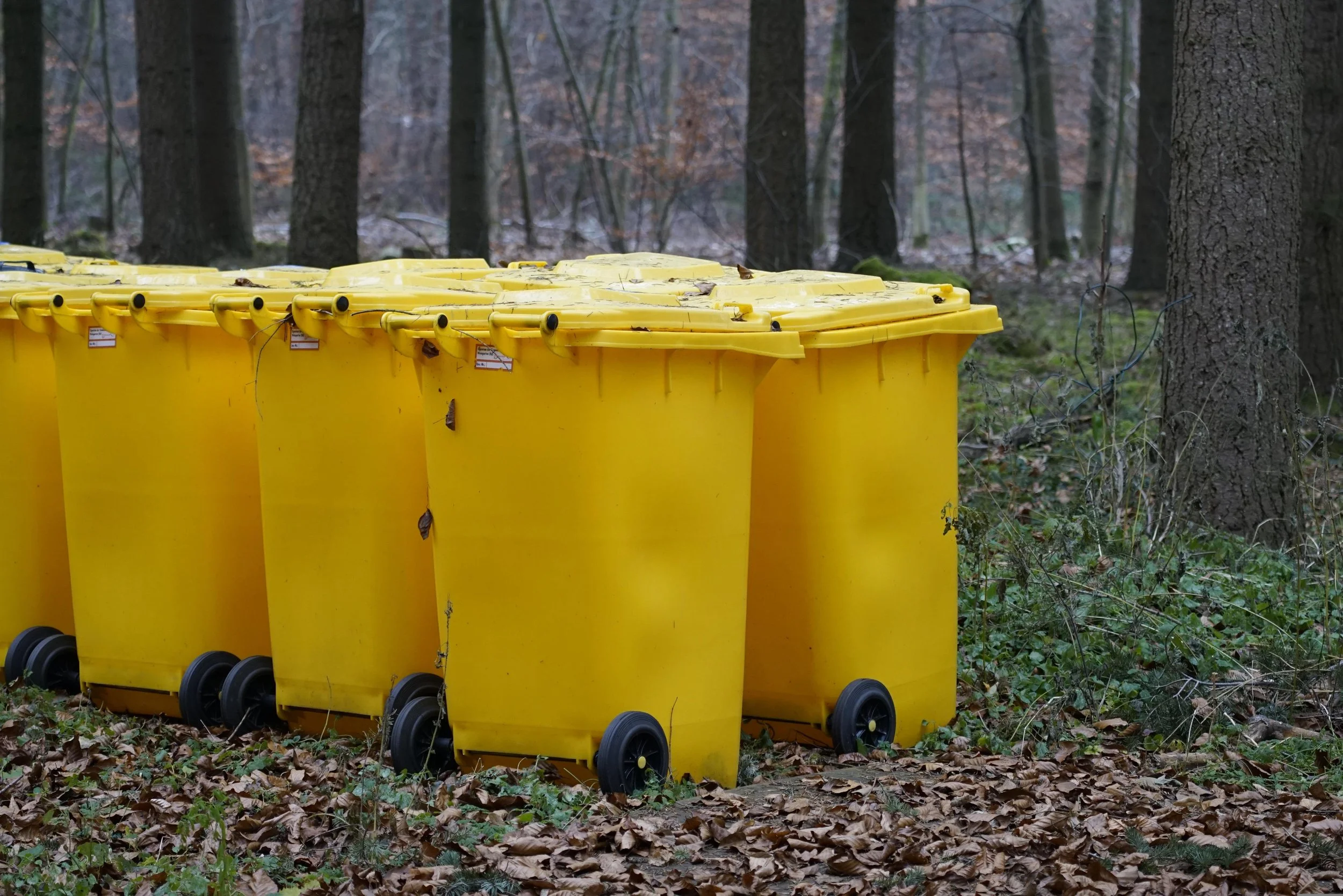 Trash Removal