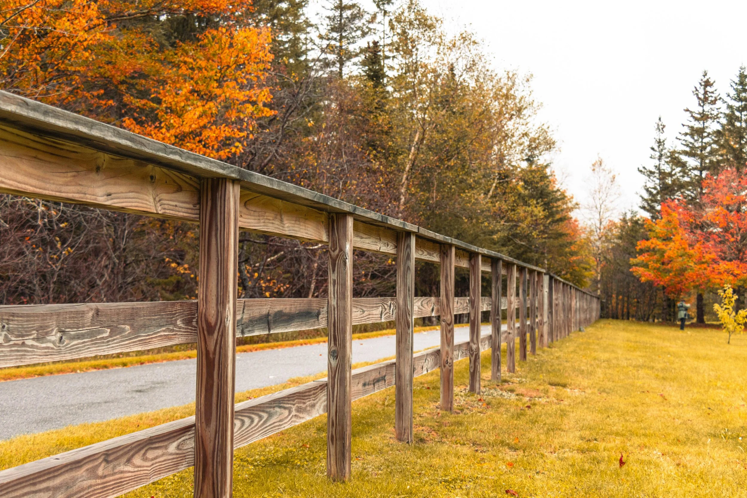 A wooden fence beside a paved path, with fall trees displaying orange, yellow, and green leaves in the background.