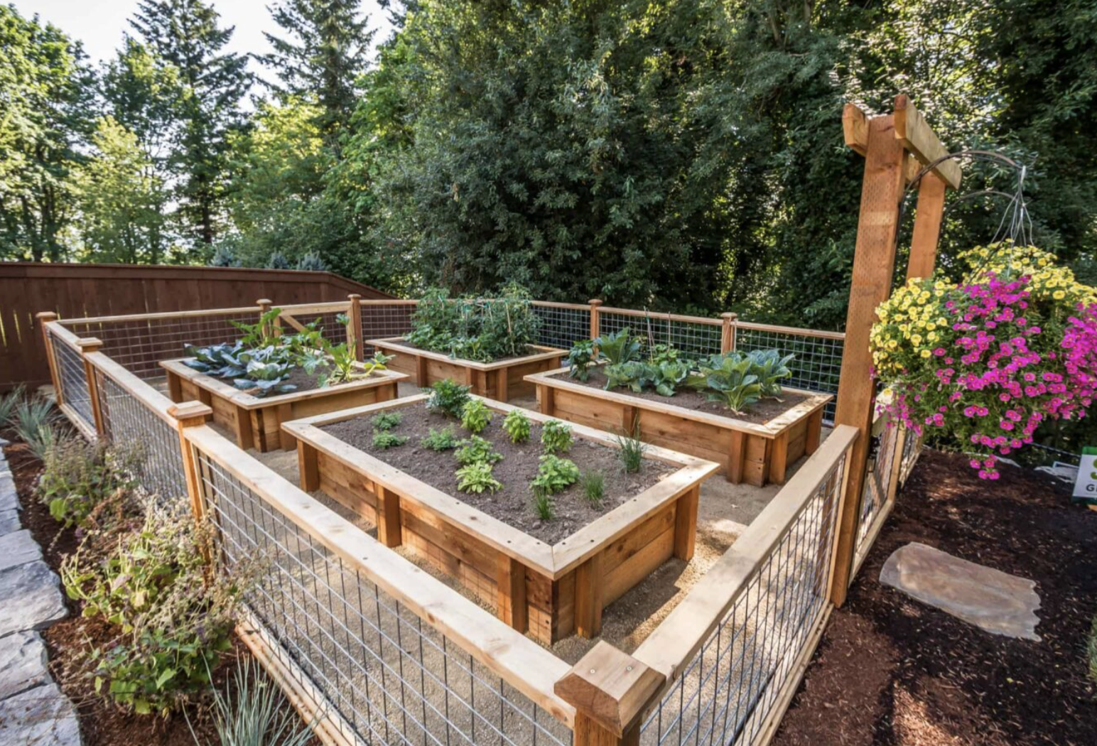 A backyard vegetable garden with multiple wooden raised beds filled with various vegetables, surrounded by a wire fence, with trees and flowers in the background.