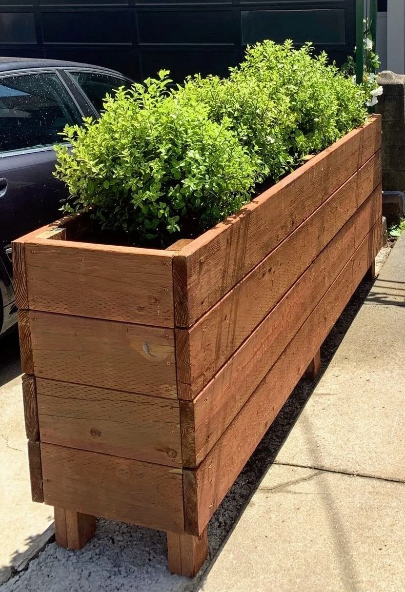 Wooden planter box with green leafy plants adjacent to a sidewalk and parking area.