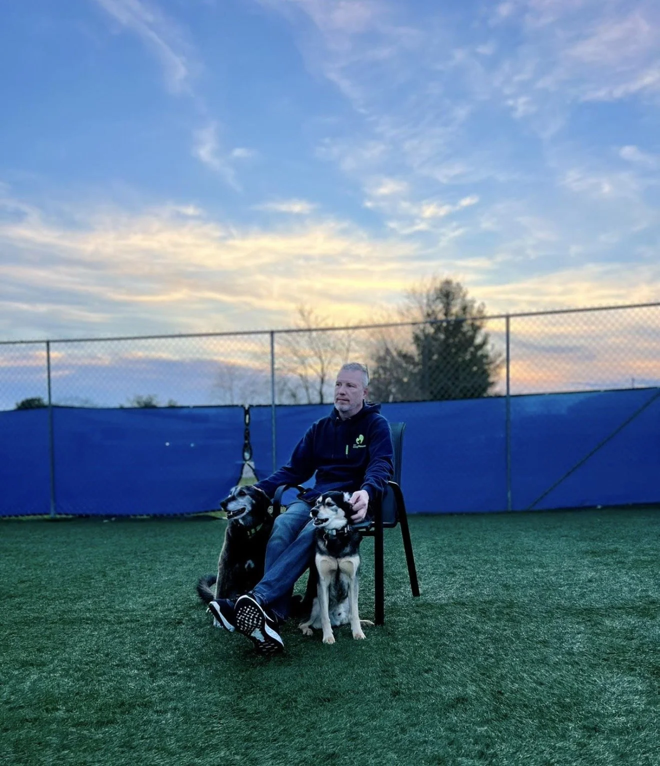 A man sitting on a black chair on a grassy field with two dogs beside him during sunset.