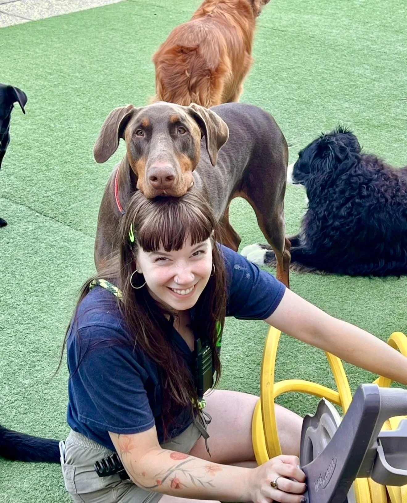 A woman with dark hair, tattoos, and jewelry smiling, kneeling on green grass, surrounded by multiple dogs, including a large brown and tan dog with a beard resting on her, and other dogs in the background.