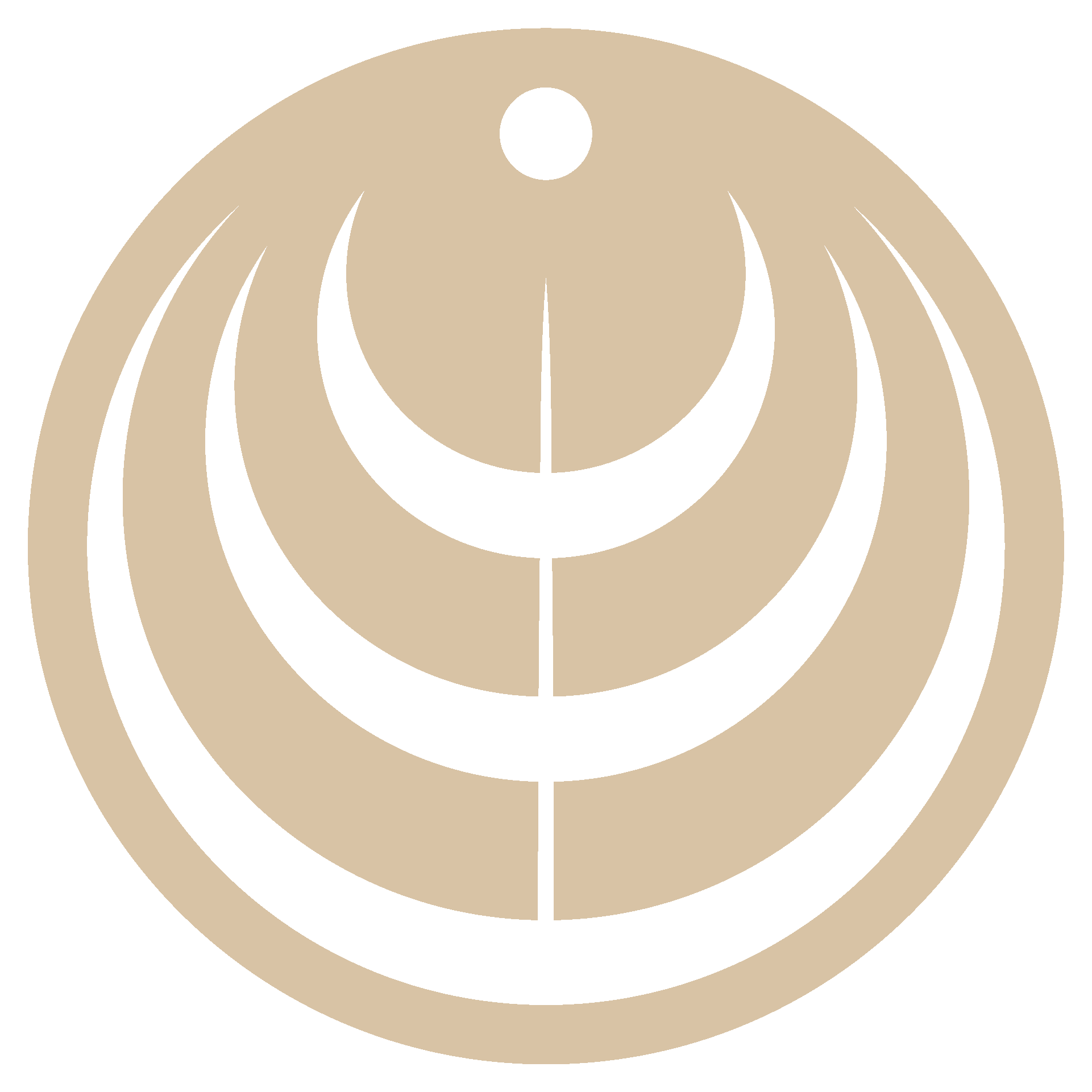 Close-up view of a classic bullseye target with concentric rings in beige and black colors and a black center.