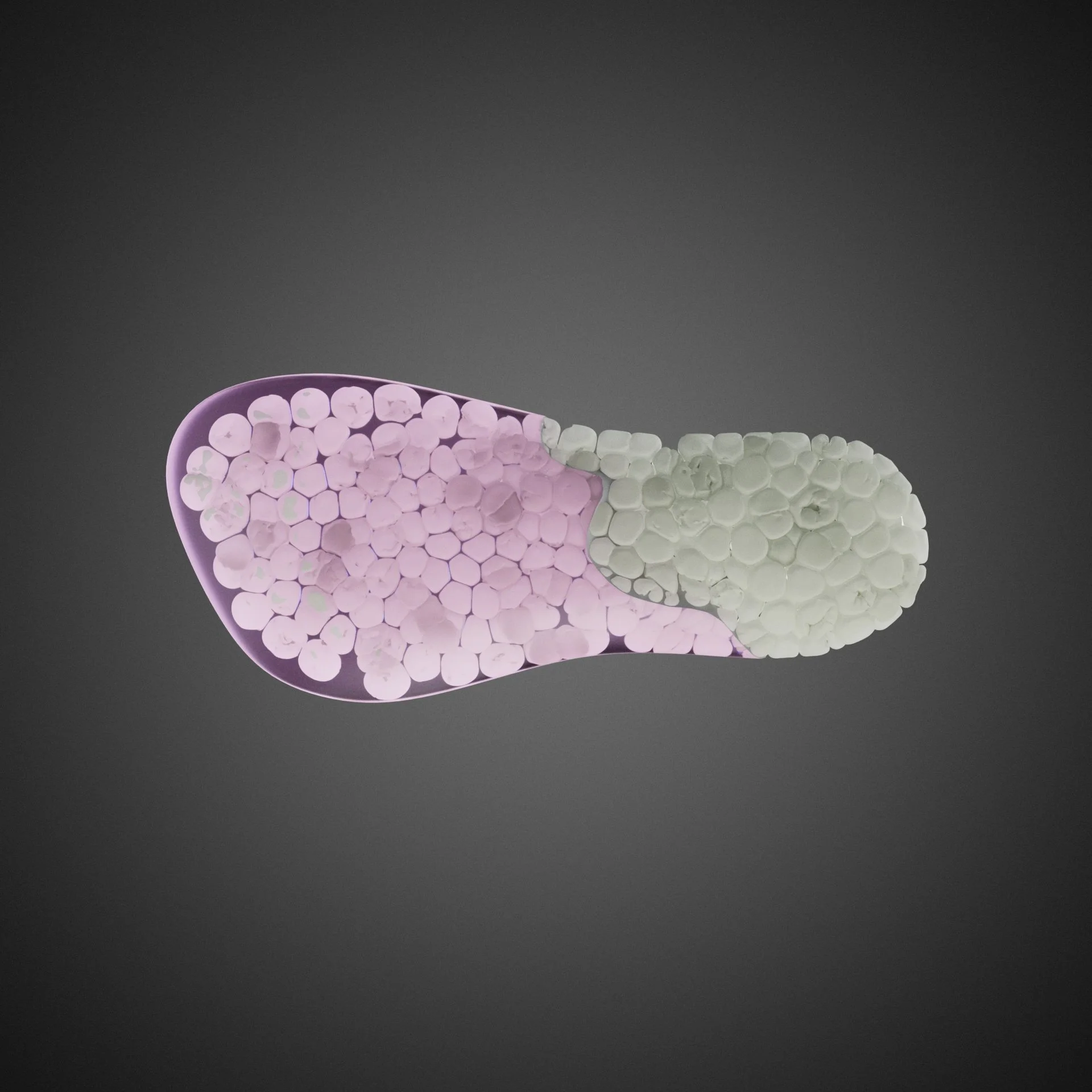 InsolePart01_0000.jpg