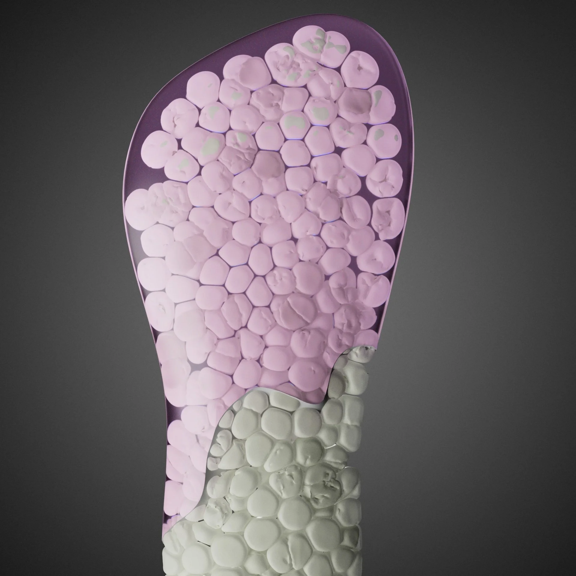 InsolePart01_0003.jpg