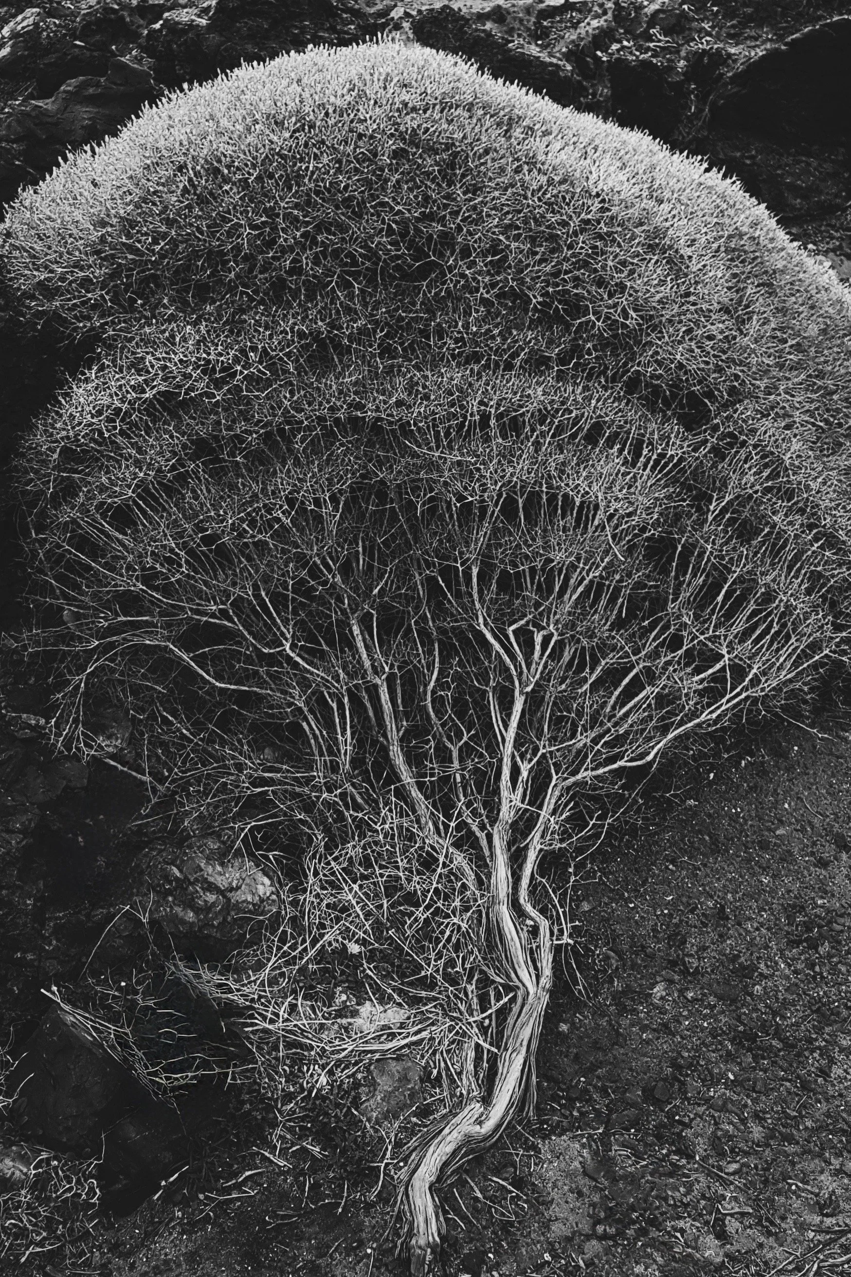 2017-12-11 10.22.48 1.jpg