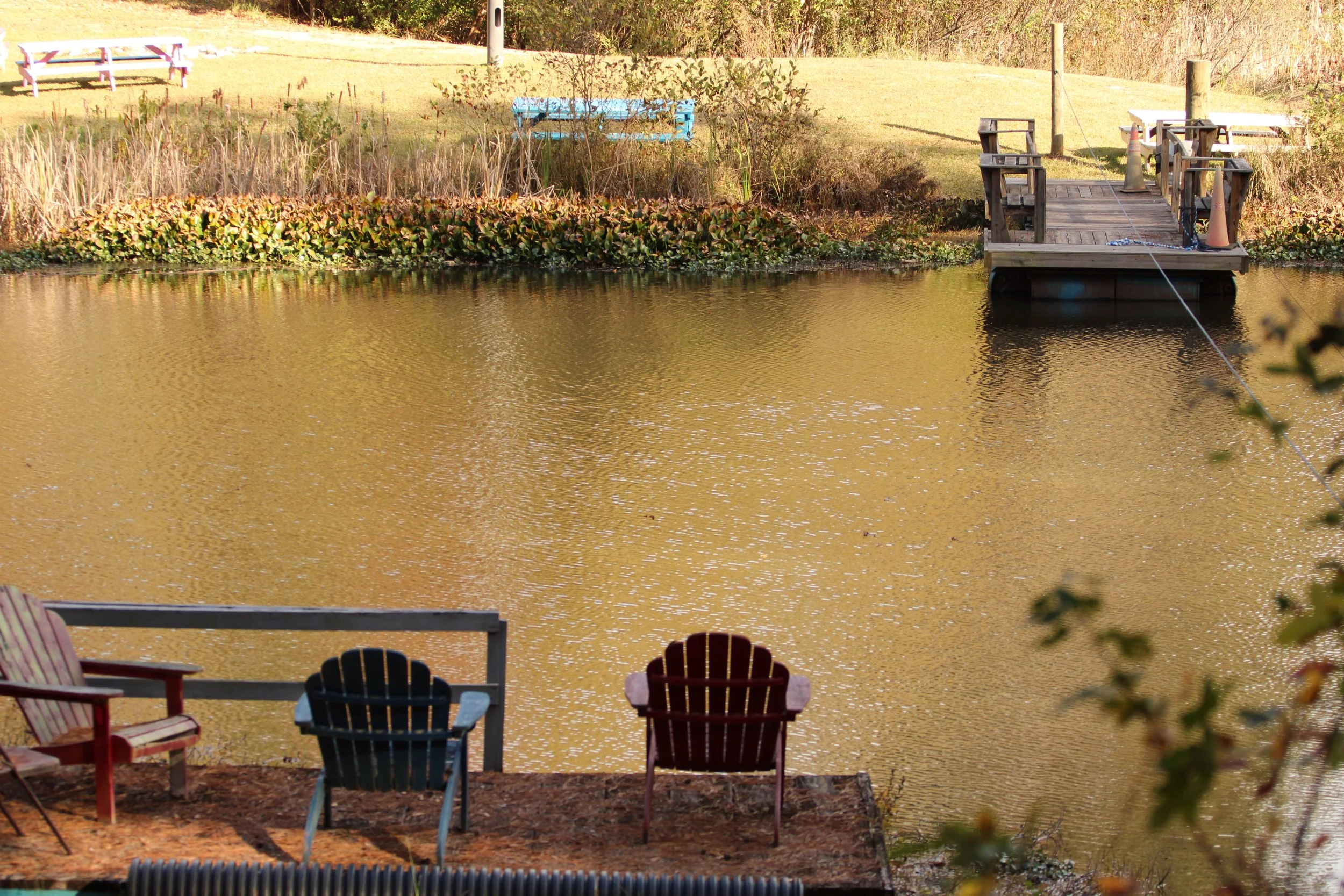 Camp Tanglewood Property