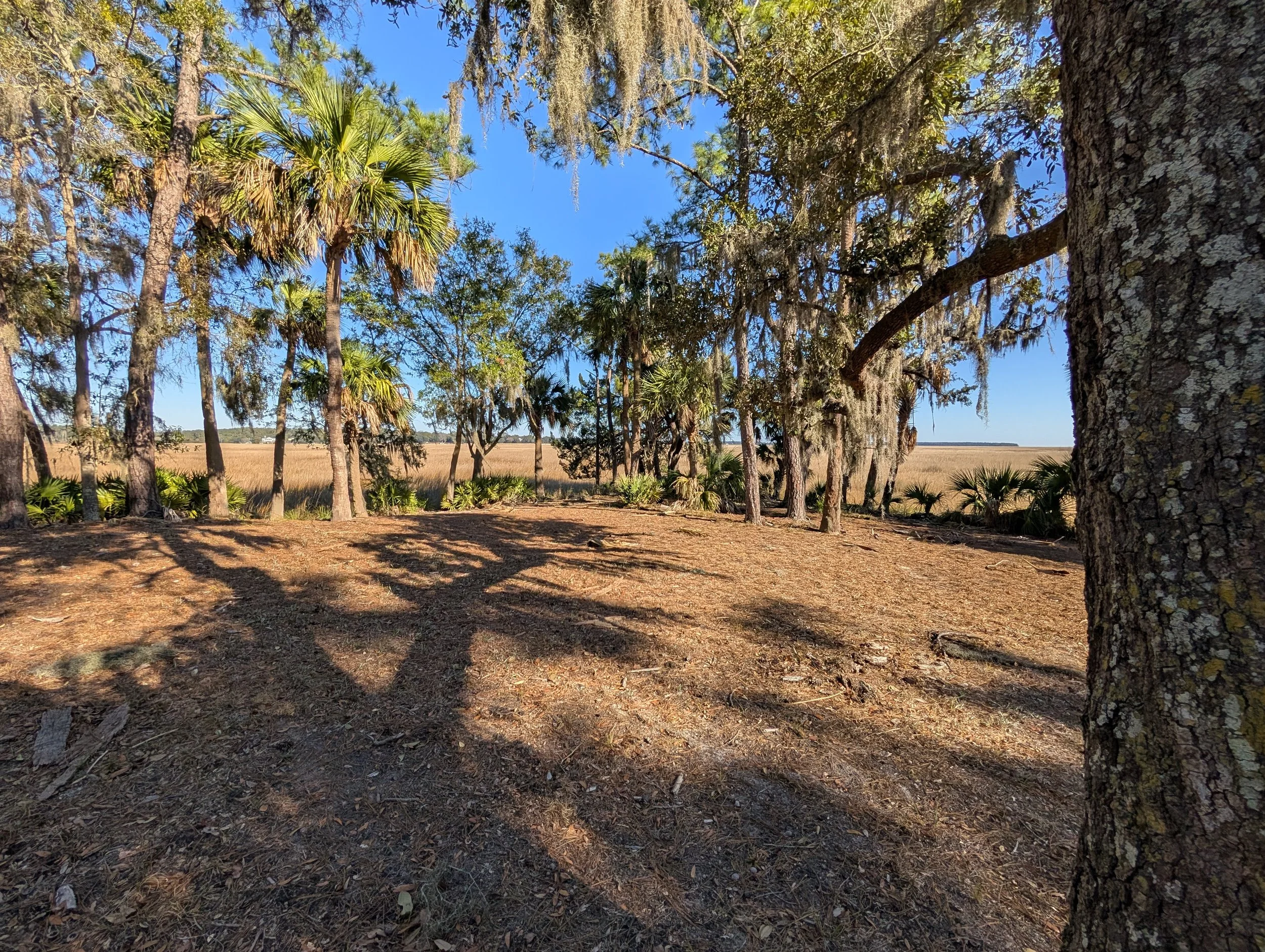 Camp Low Property