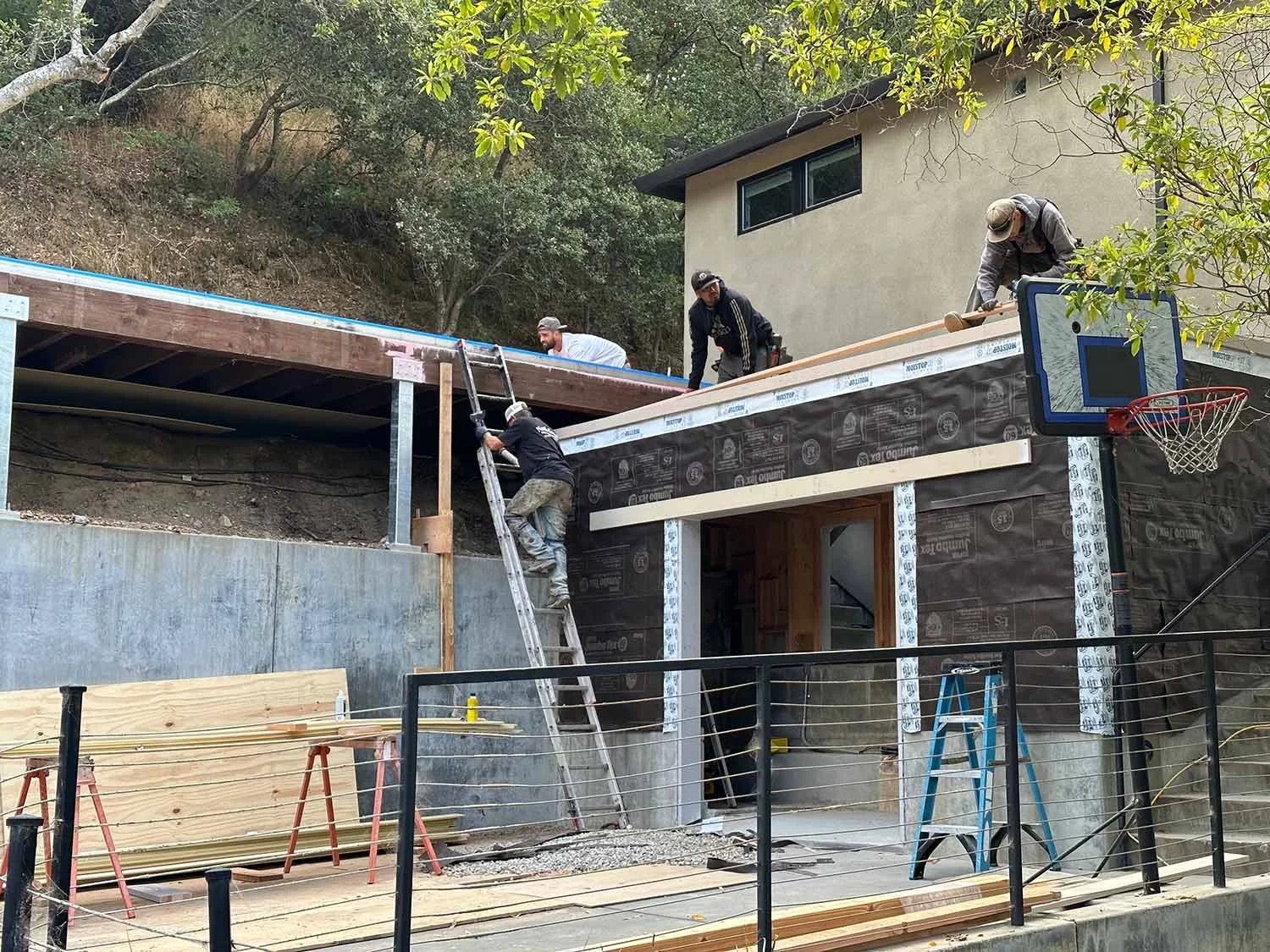IMG_0245.jpg