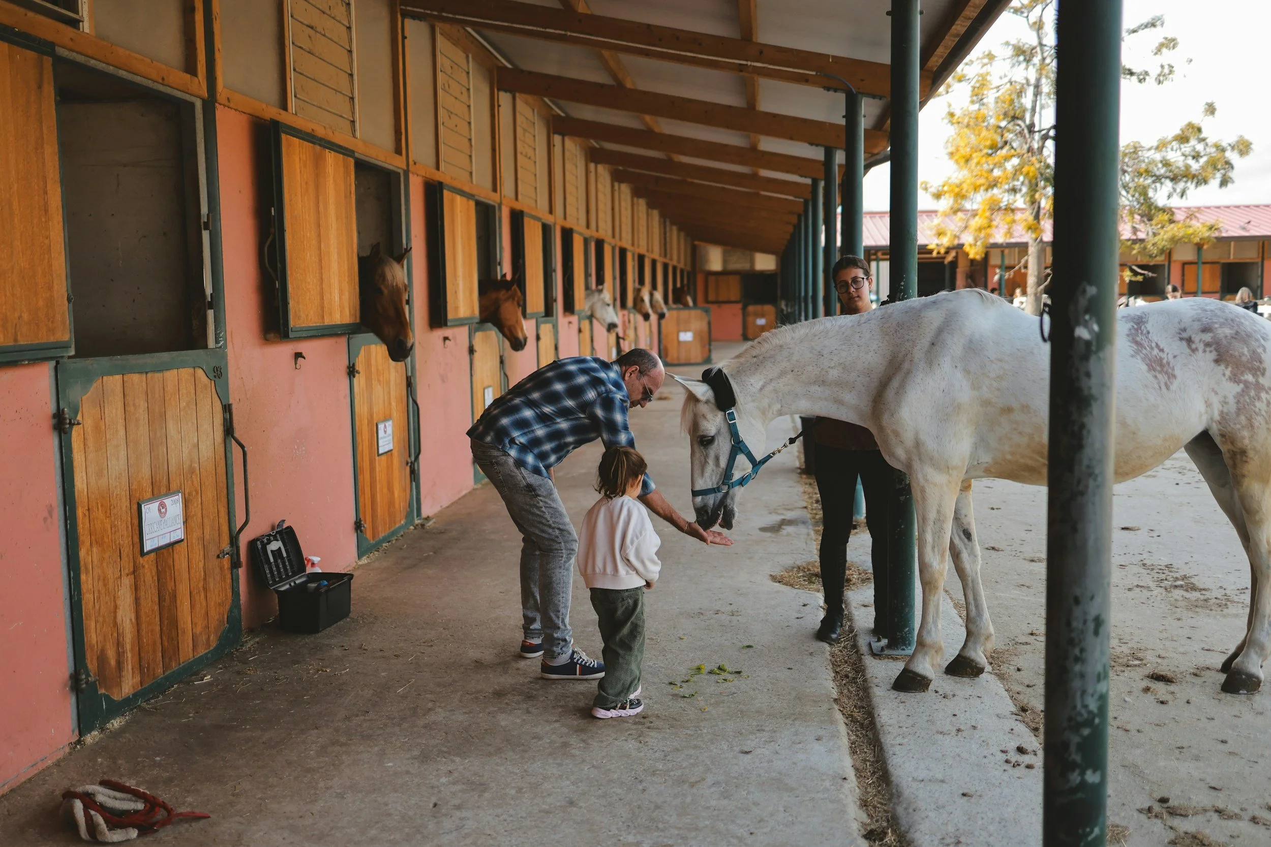 Annual Horse Expo at Frying Pan Farm Park (family friendly)