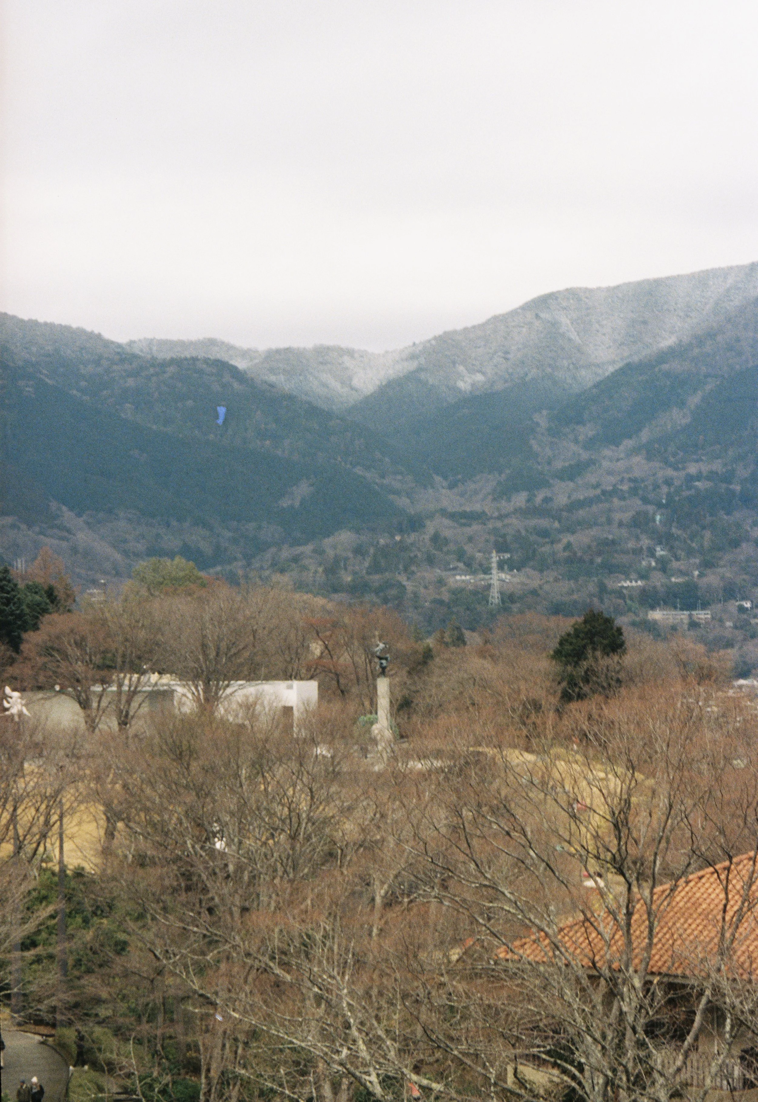 IMG_2820.jpeg