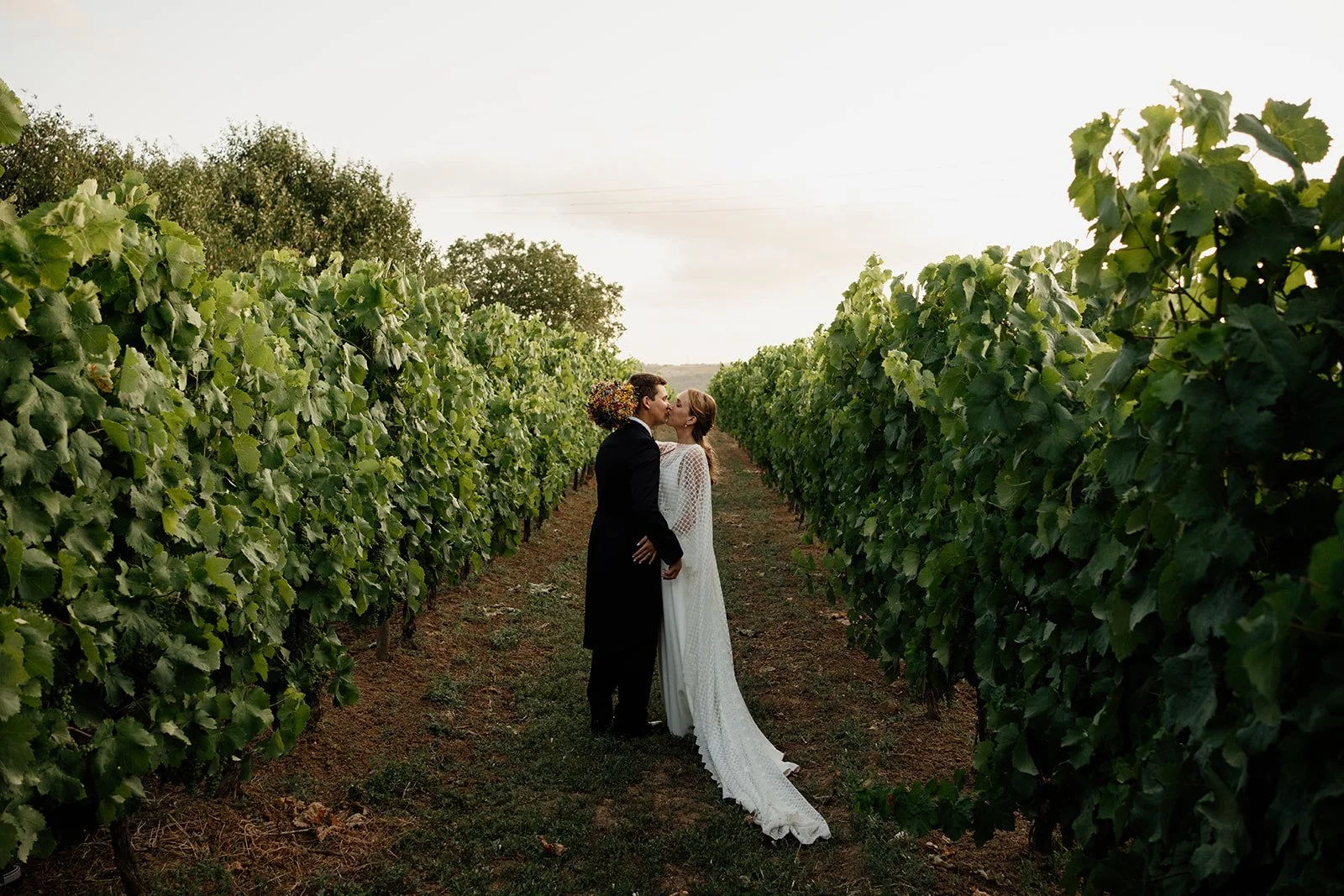 Bride and groom kissing in a vineyard at sunset.