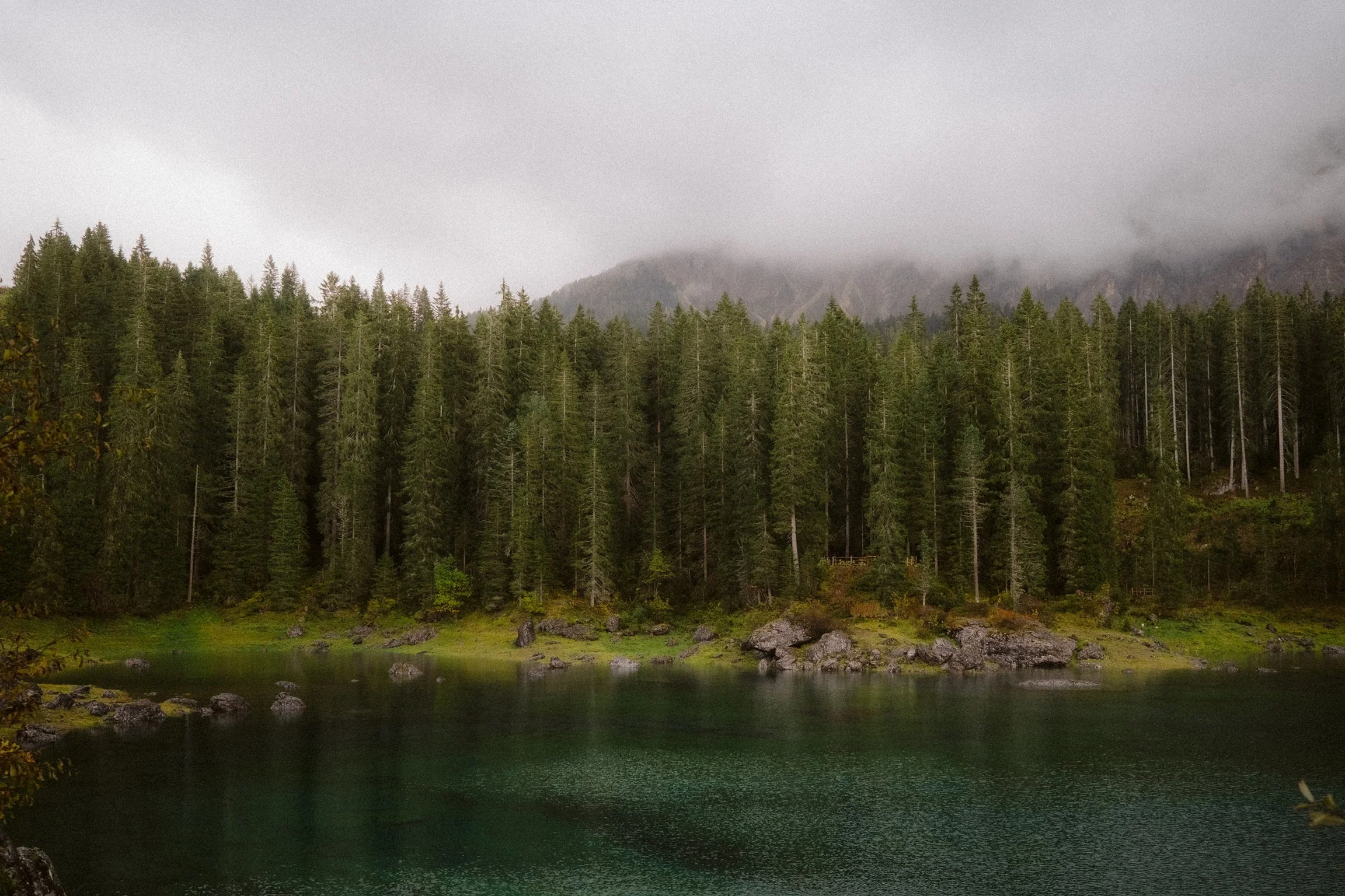 Lake surrounded by a pine forest under a cloudy sky, with mountains in the background, in the dolomites.