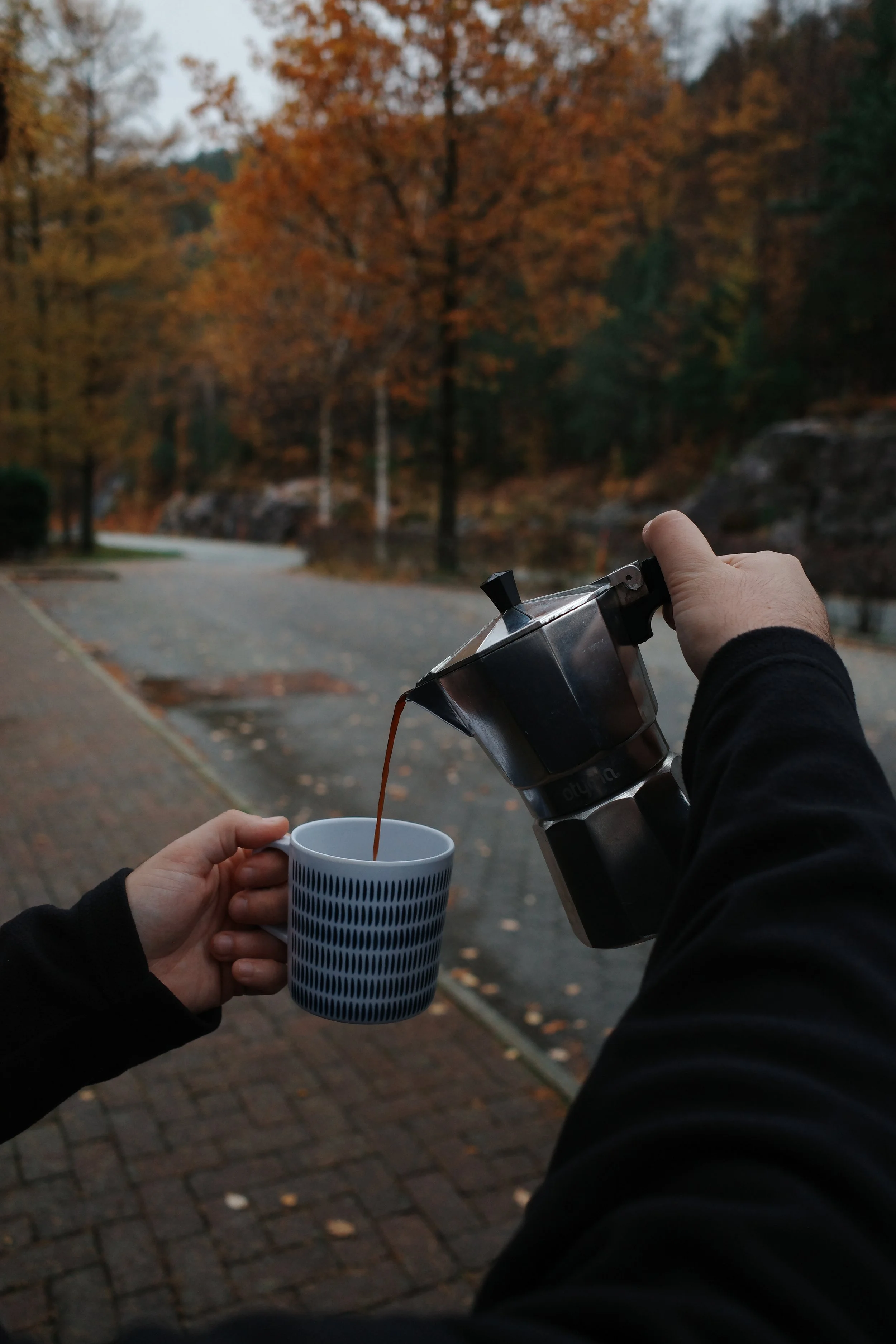 Person pouring coffee from a moka pot into a cup during autumn, with trees of colorful leaves in the background.