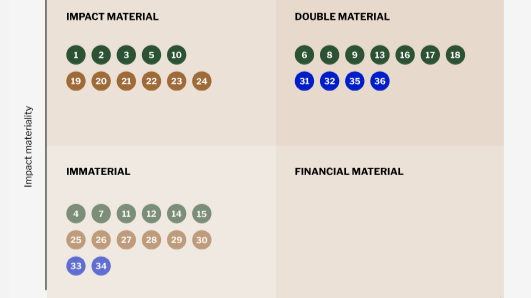 How to use AI to conduct a financial materiality assessment under IFRS S1