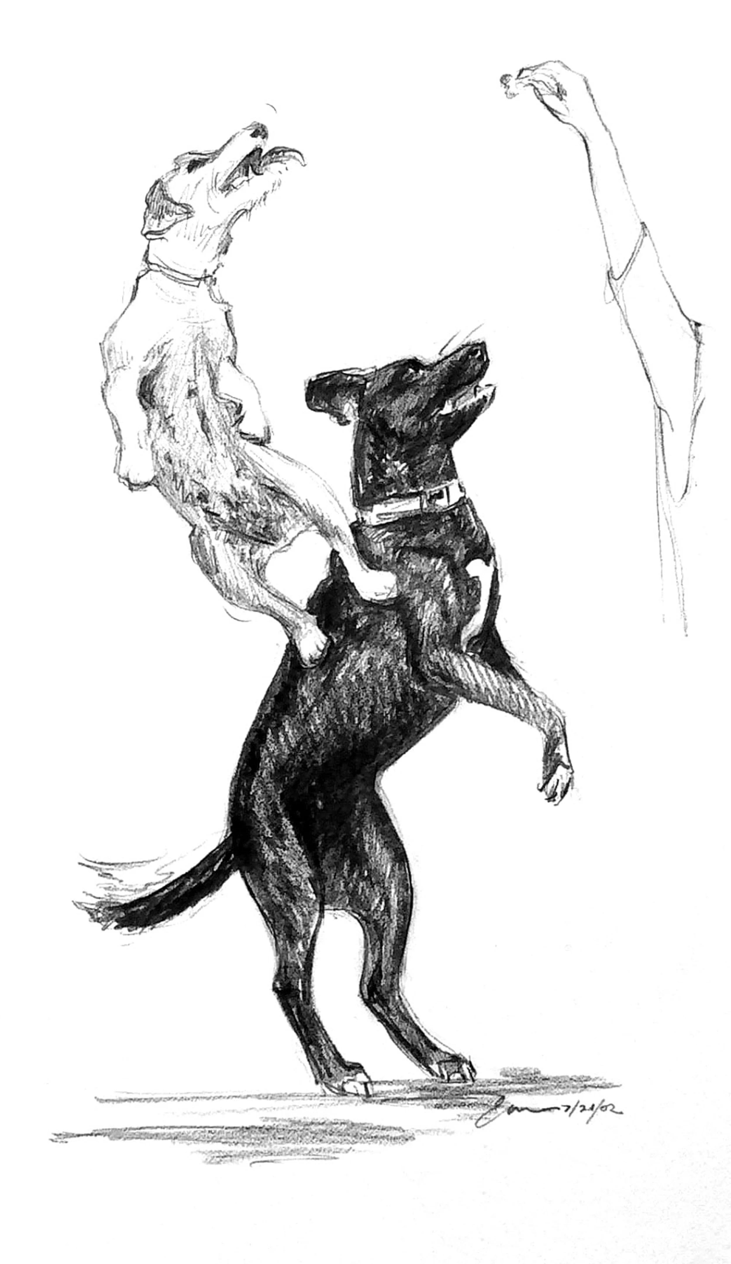 Jenna and Abby, 9"x4.5, graphite on paper, oil on board, introduction of Dog Book