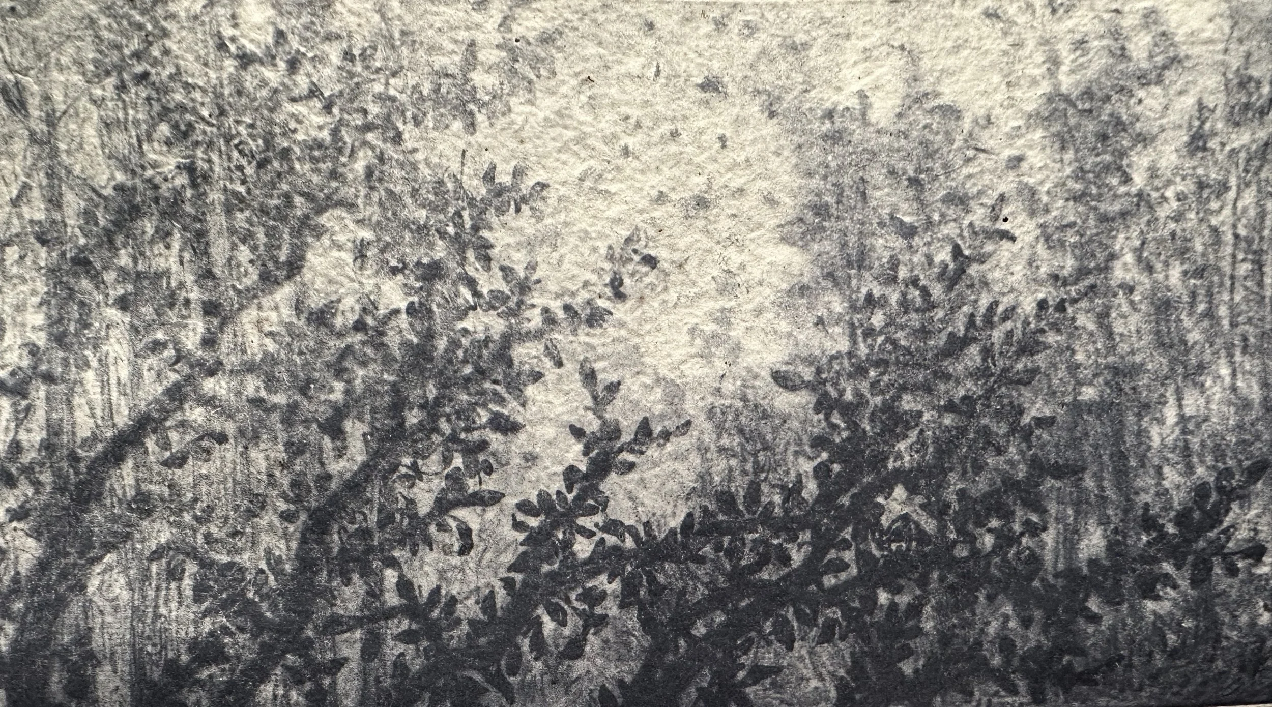 Emily Eve Weinstein,  Inside Looking Out , 2025. Waterless lithography, 7 x 11 x 1 inches.