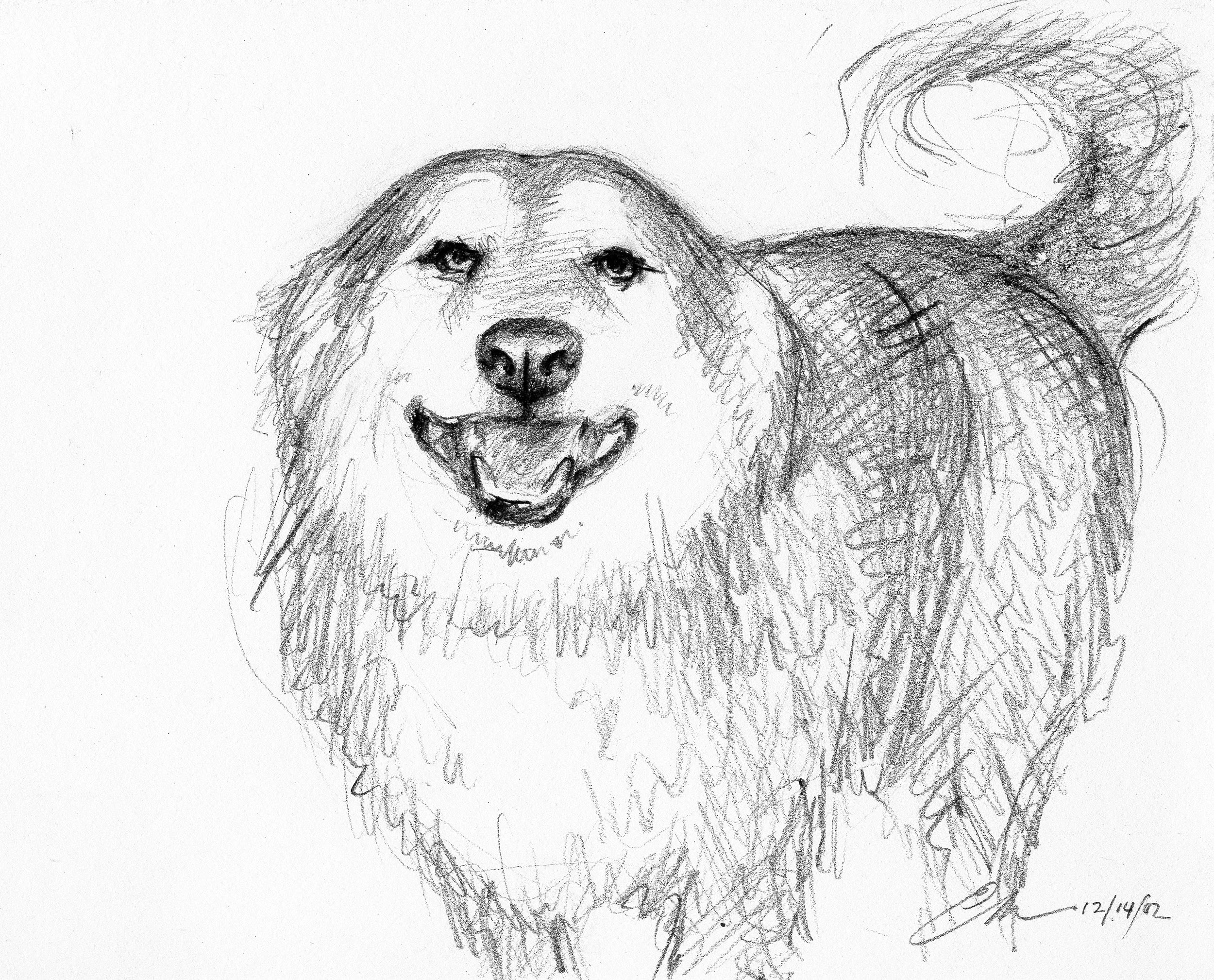 Gabby, 5"x5", graphite on paper, pg. 44 of Dog Book