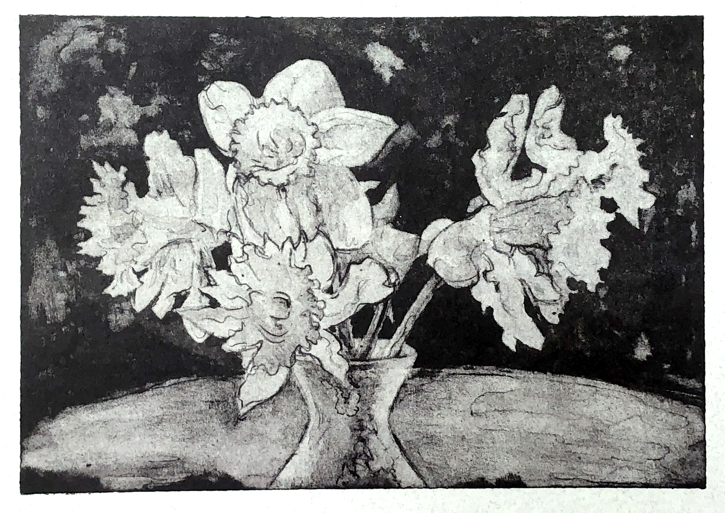 Daffodils, 6”x9”x1, waterless lithography, 5/24