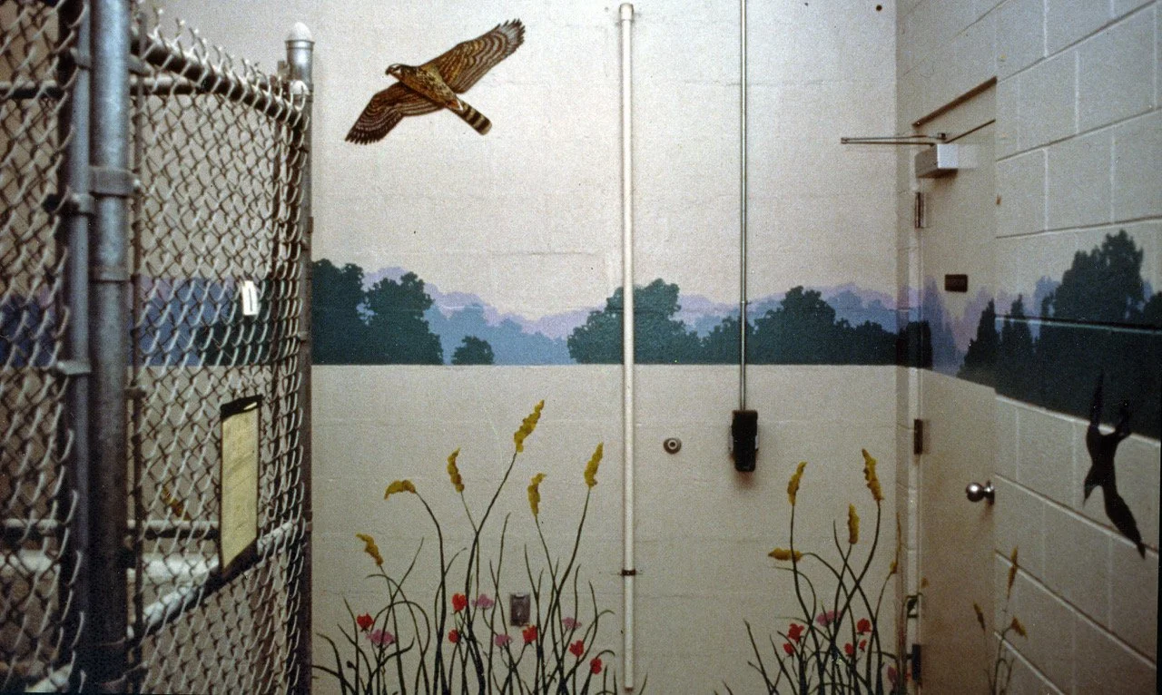 mural 1 2 2.jpeg