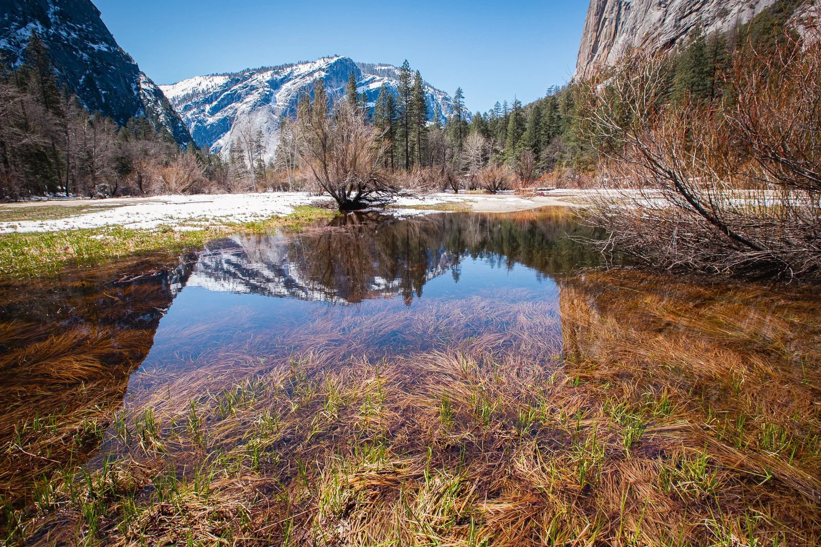 Un paysage de montagnes enneigées, arbres dénudés, et un lac reflétant le ciel bleu, dans un environnement naturel.