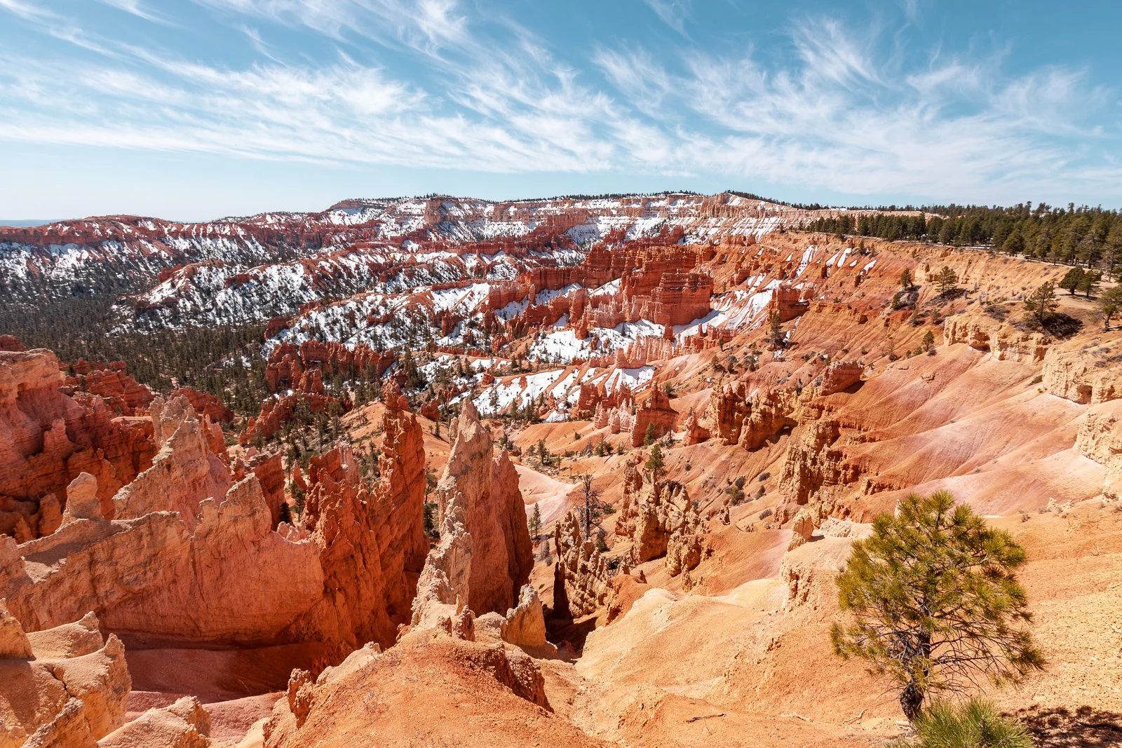 Canyon avec formations rocheuses rouges et neige, arbres verts, ciel bleu avec nuages.
