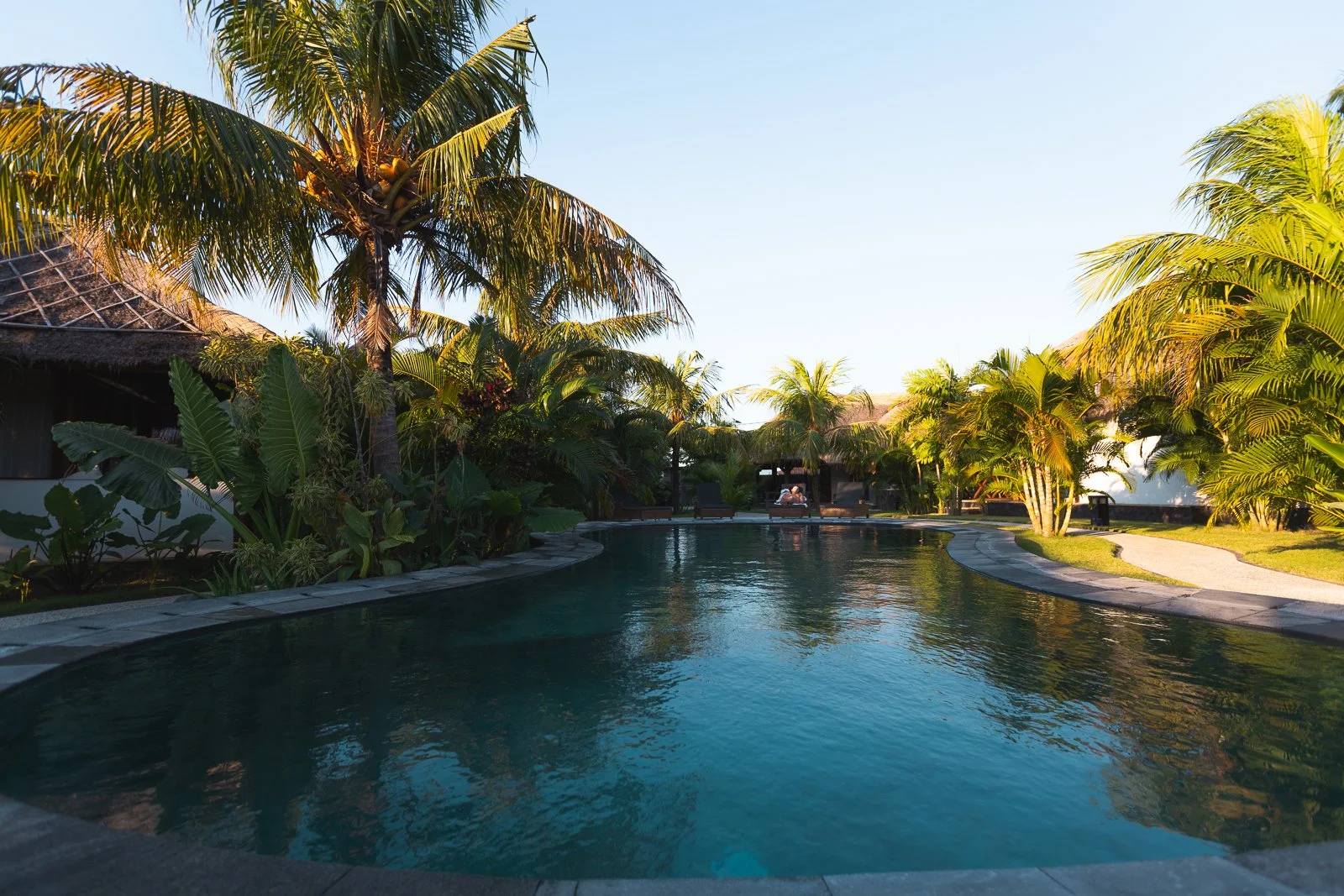 Piscine dans un jardin tropical avec palmiers et parasols, sous un ciel clair