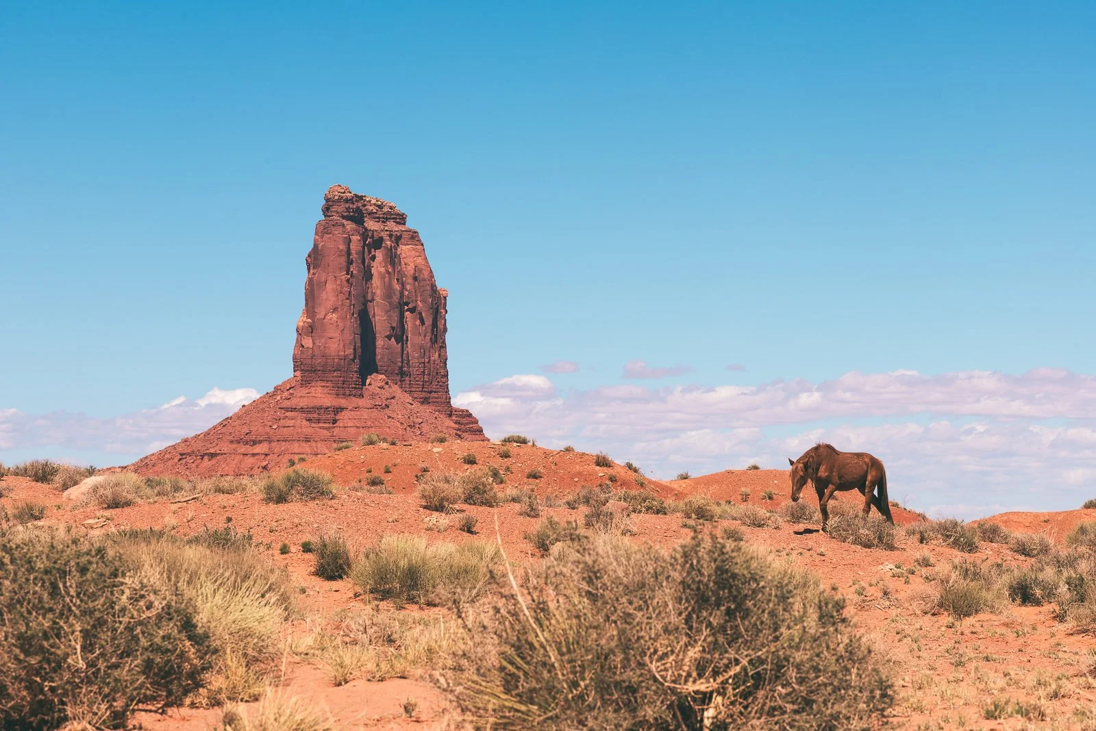 Paysage désertique avec une formation rocheuse en forme de tour et un cheval brun parmi la végétation sèche sous un ciel bleu.