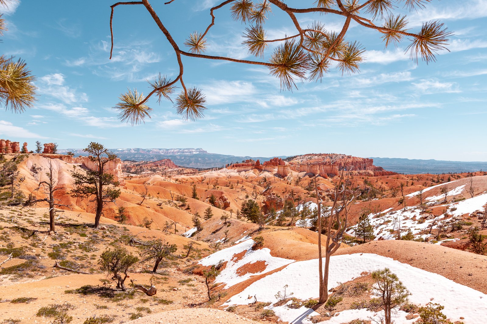 Paysage du parc national de Zion avec des formations rocheuses orange, des arbres épars et un ciel bleu avec quelques nuages.