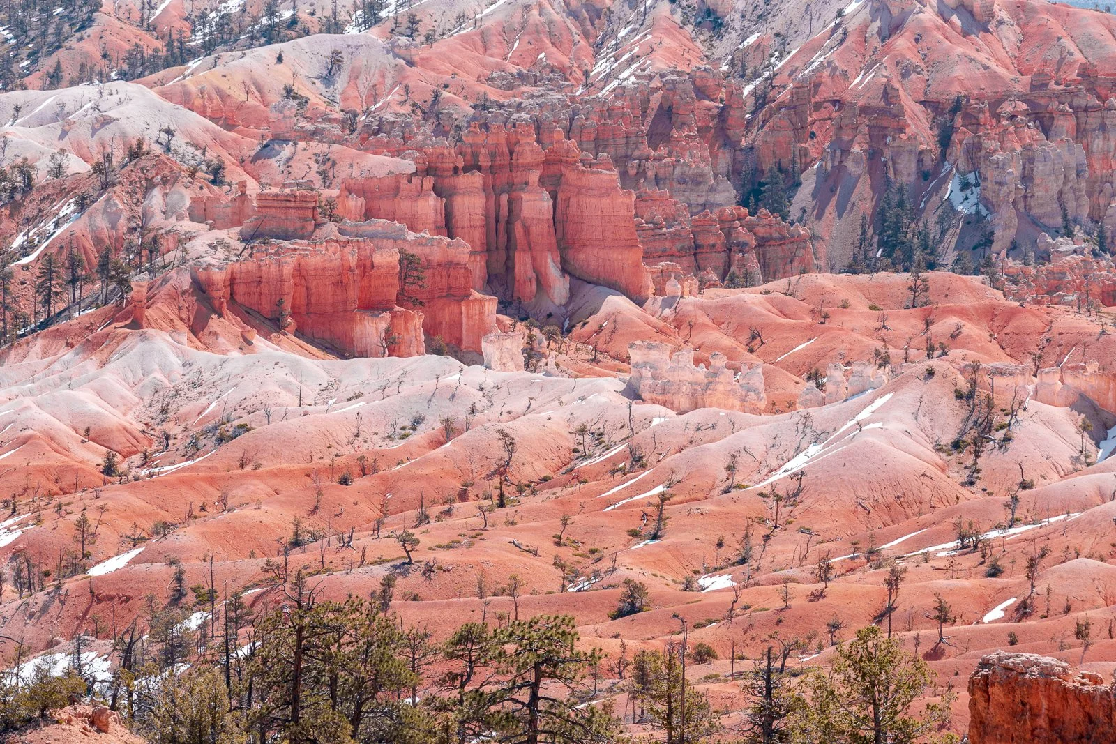Canyon rocheux avec formations rocheuses rouges, petites arbres et traces de neige