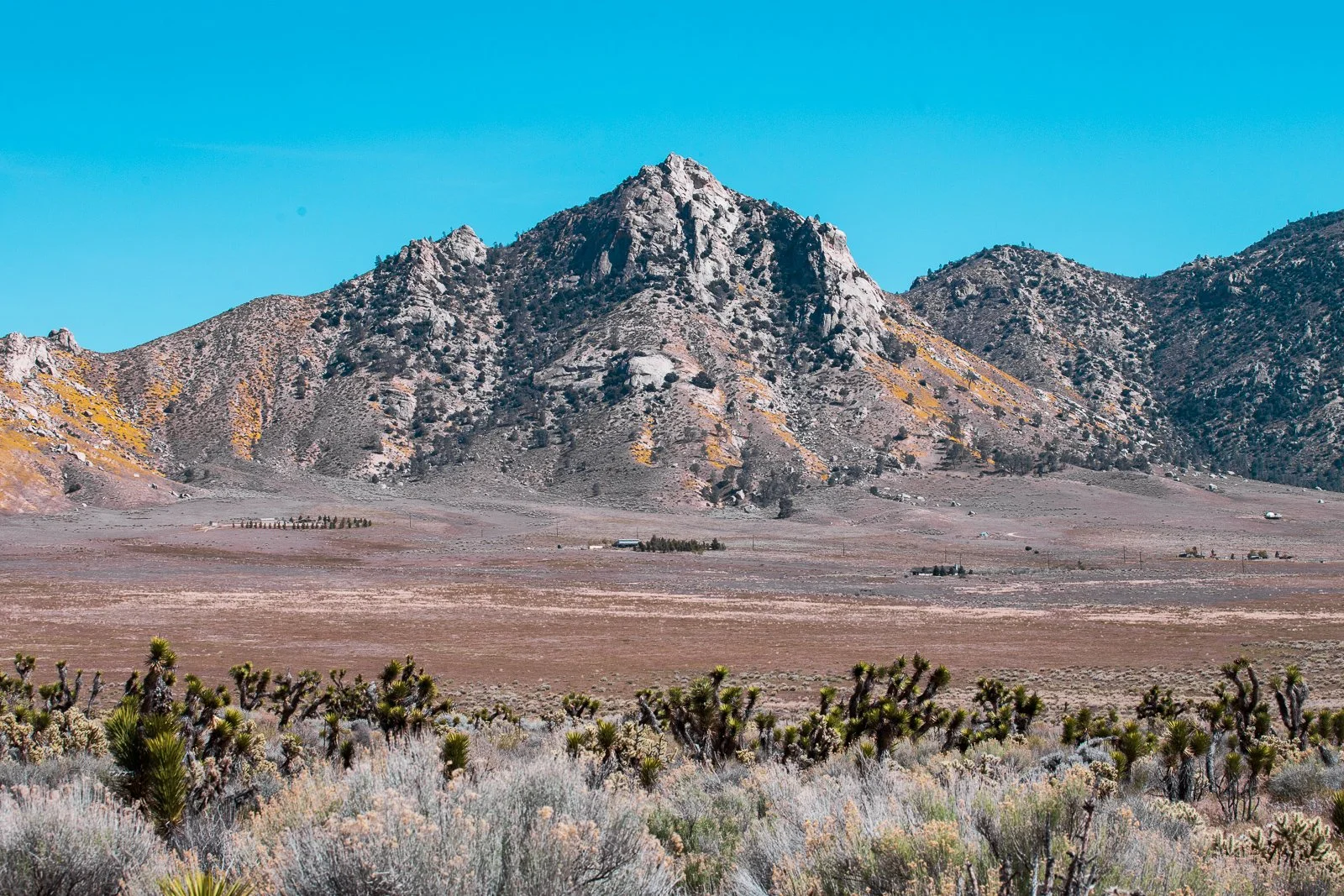 Montagne rocheuse dans un paysage désertique avec de petites plantes et un ciel bleu.